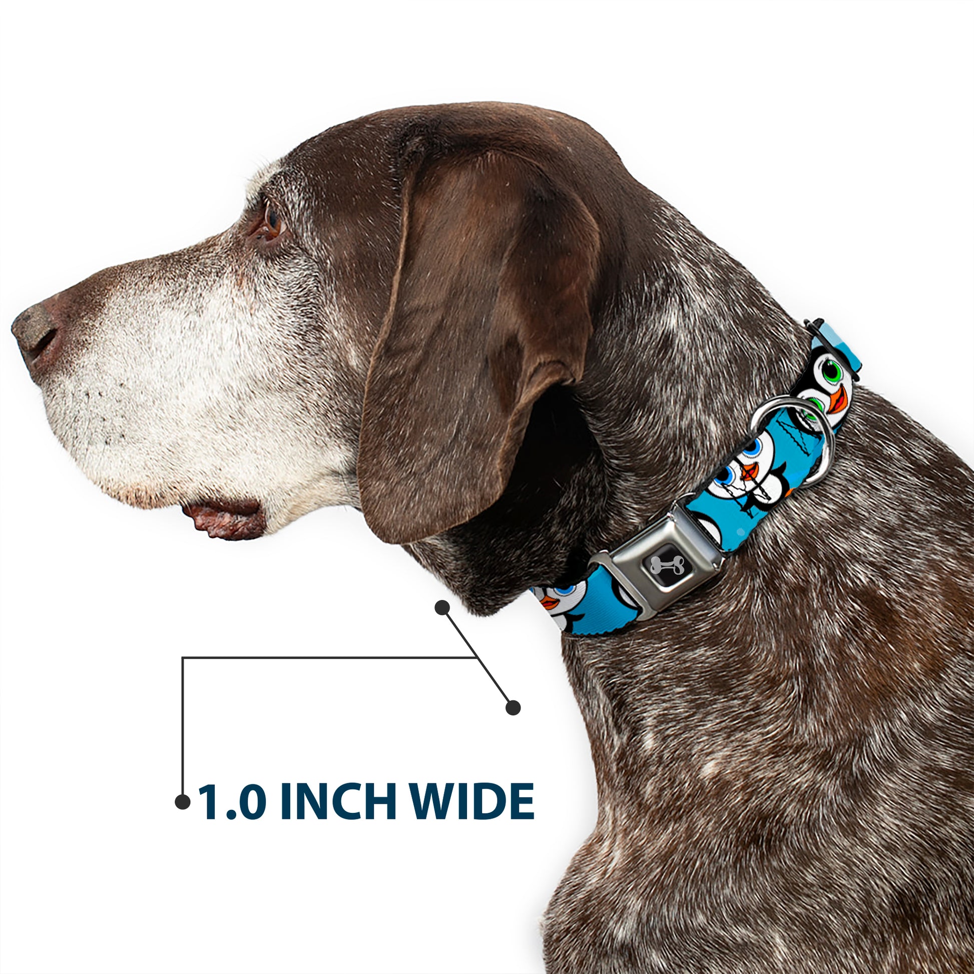 Dog Bone Seatbelt Buckle Collar - Cute Penguins Blue Bubbles Seatbelt Buckle Collars Buckle-Down