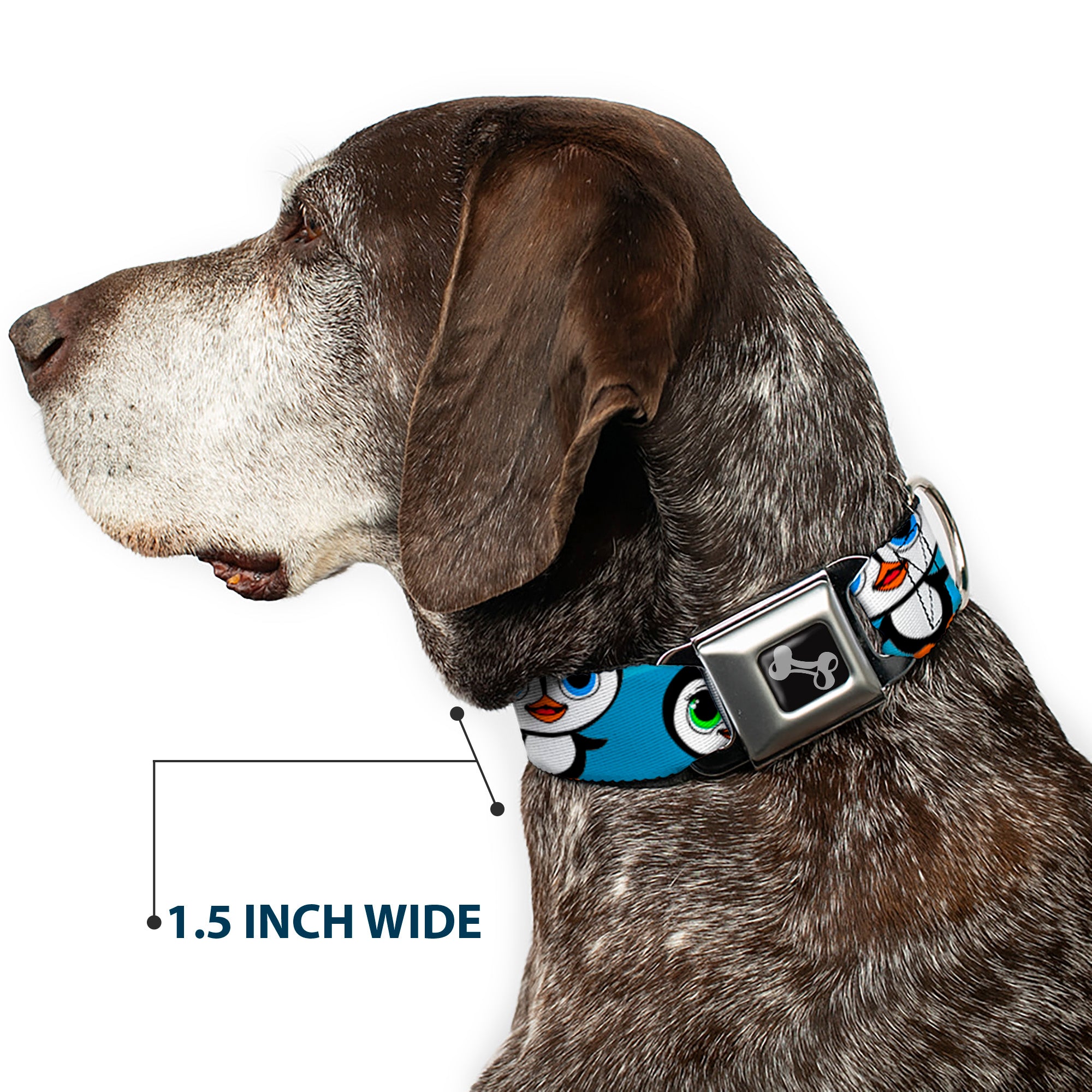 Dog Bone Seatbelt Buckle Collar - Cute Penguins Blue Bubbles Seatbelt Buckle Collars Buckle-Down
