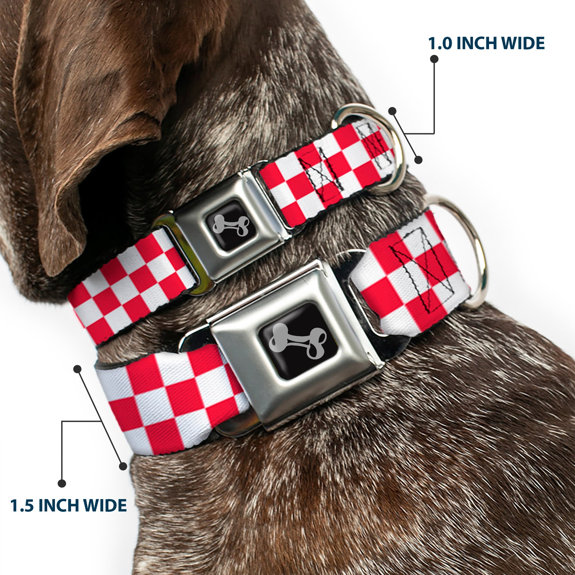 Dog Bone Seatbelt Buckle Collar - Checker Crimson/White Seatbelt Buckle Collars Buckle-Down
