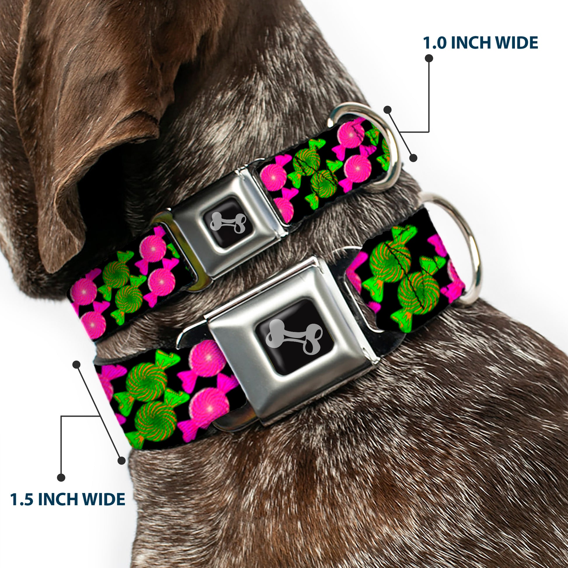 Dog Bone Seatbelt Buckle Collar - Candies Seatbelt Buckle Collars Buckle-Down