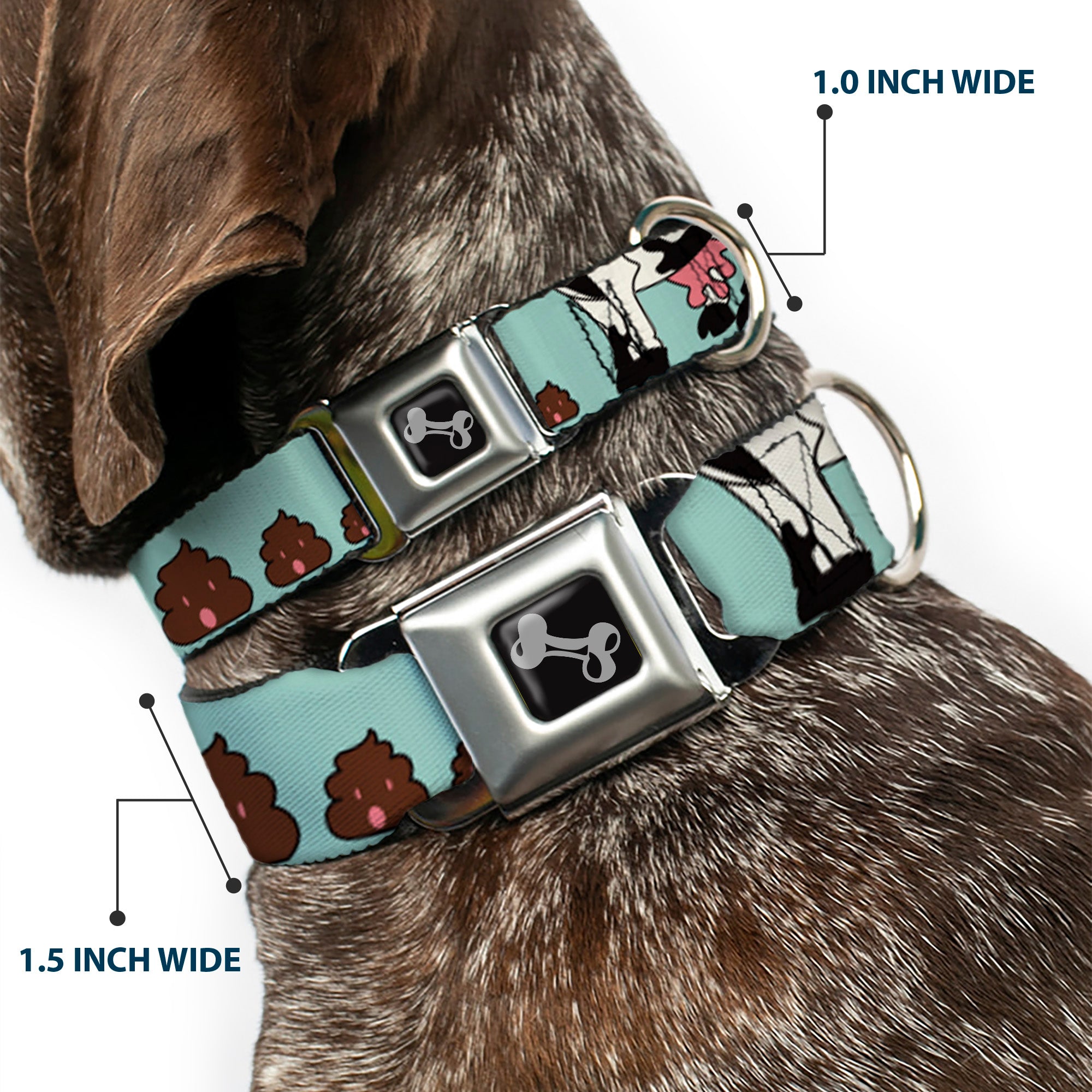 Dog Bone Seatbelt Buckle Collar - Cow Poops Color Seatbelt Buckle Collars Buckle-Down