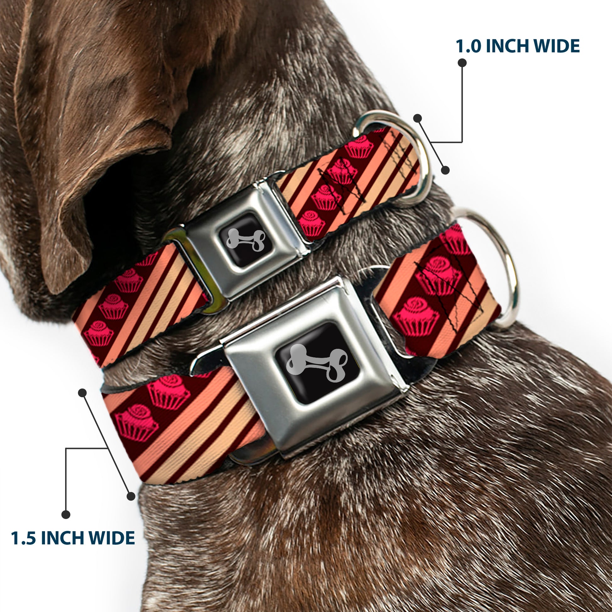 Dog Bone Seatbelt Buckle Collar - Cupcake Wallpaper Seatbelt Buckle Collars Buckle-Down