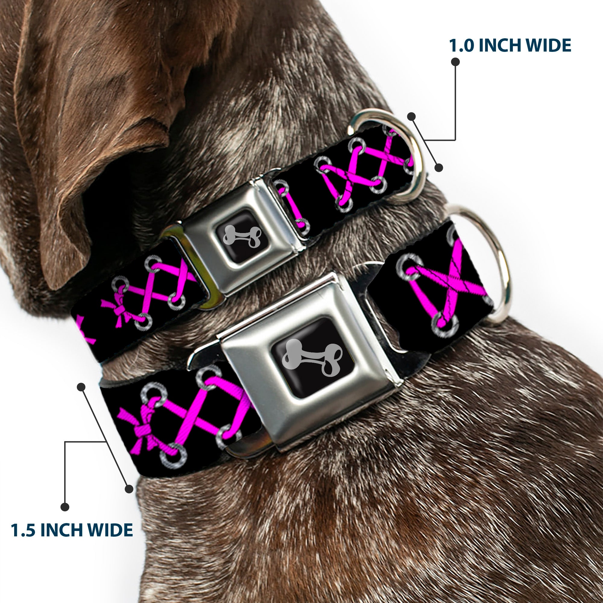 Dog Bone Seatbelt Buckle Collar - Corset Lace Up Black/Fuchsia Seatbelt Buckle Collars Buckle-Down