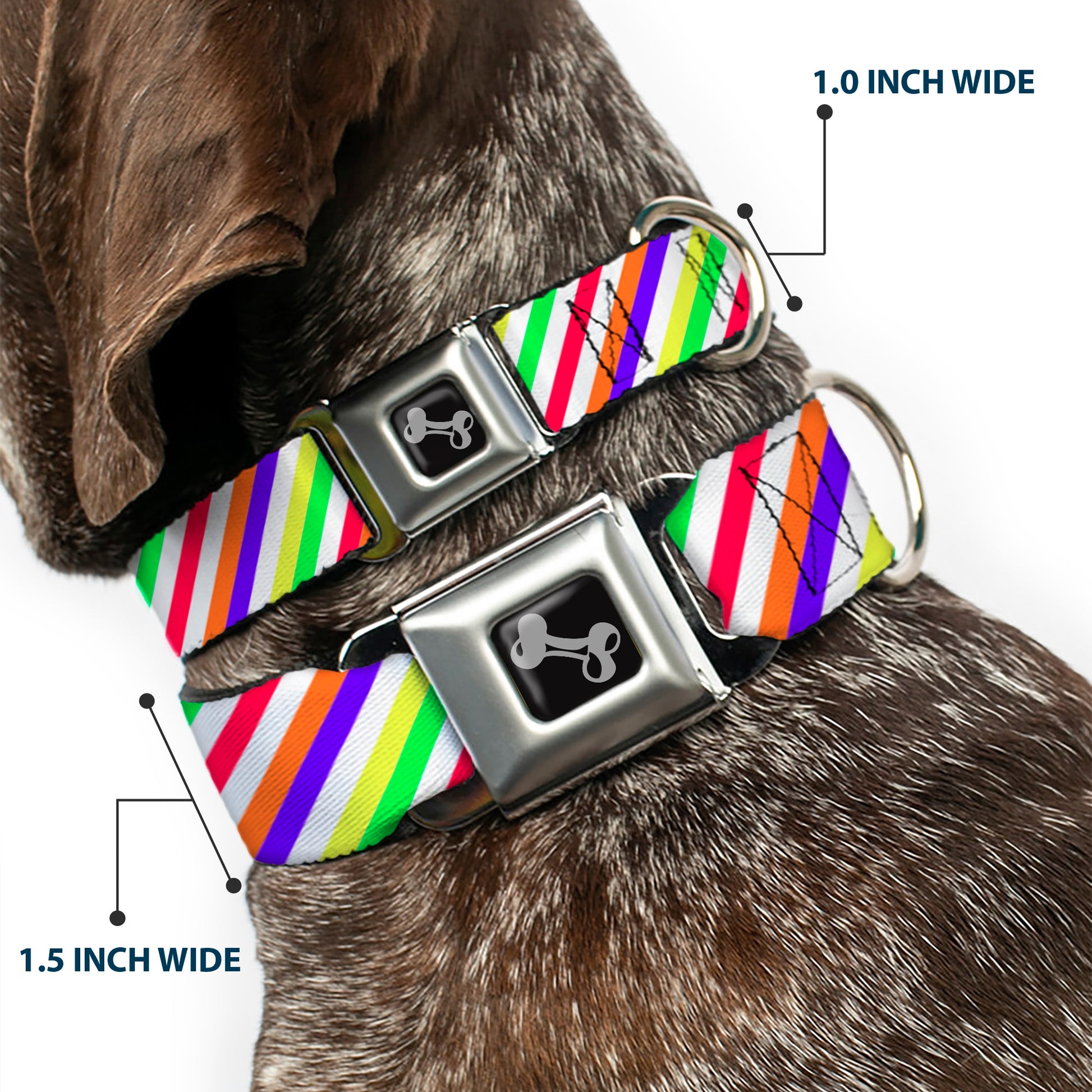 Dog Bone Seatbelt Buckle Collar - Diagonal Stripes White/Multi Neon Seatbelt Buckle Collars Buckle-Down