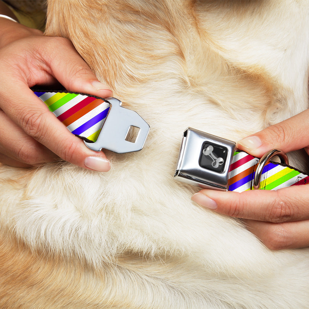 Dog Bone Seatbelt Buckle Collar - Diagonal Stripes White/Multi Neon Seatbelt Buckle Collars Buckle-Down
