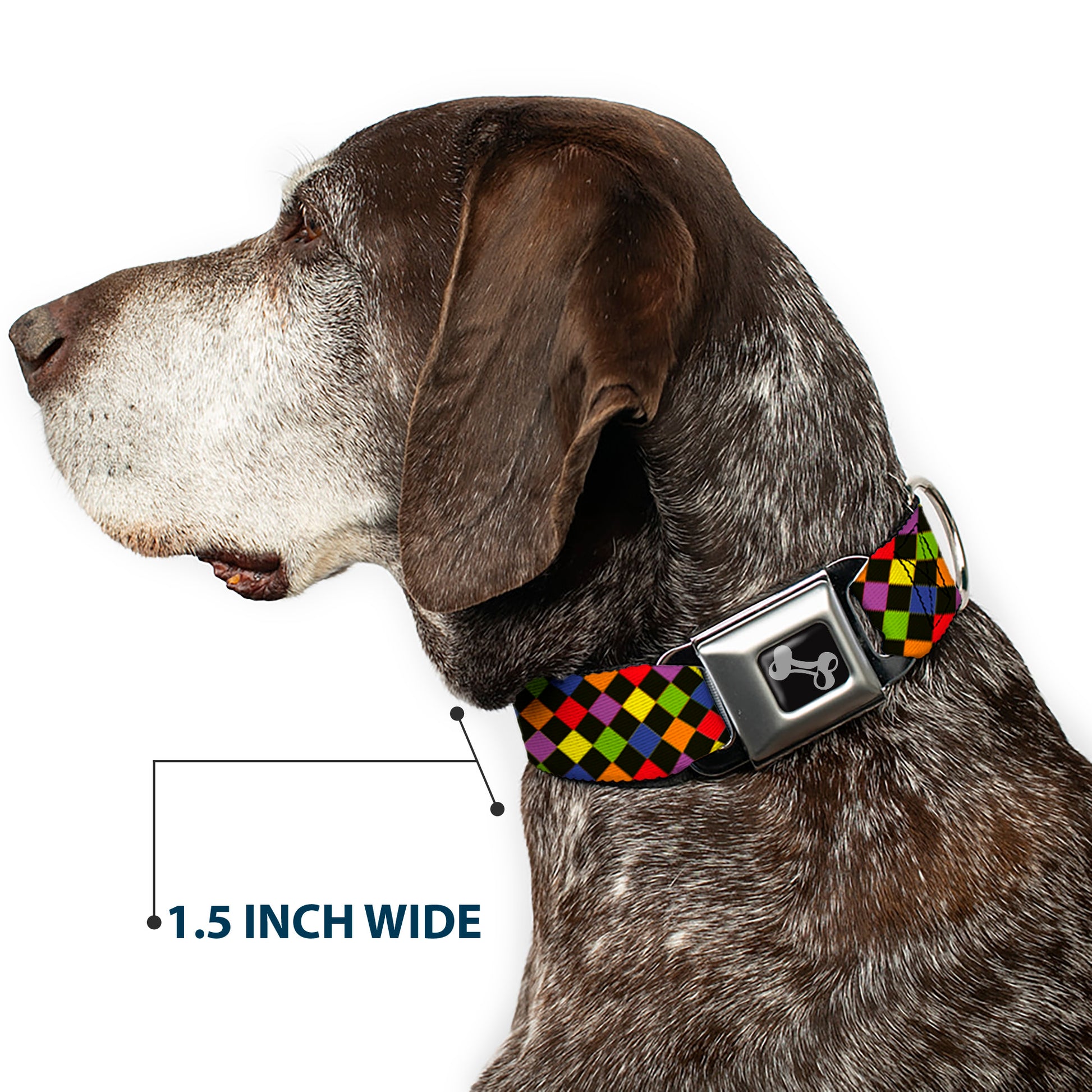 Dog Bone Seatbelt Buckle Collar - Diamonds Black/Multi Neon Seatbelt Buckle Collars Buckle-Down