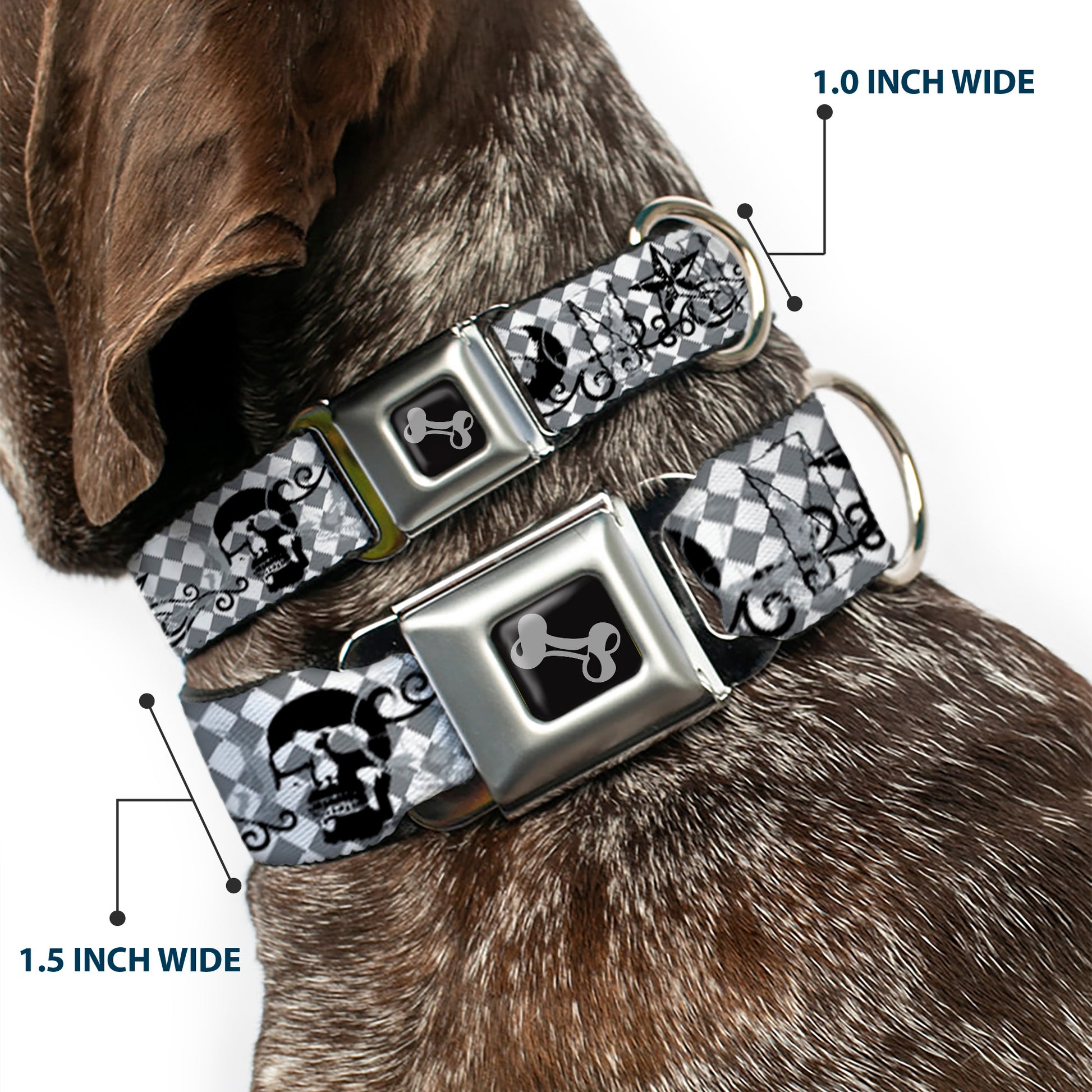 Dog Bone Seatbelt Buckle Collar - Diamonds White/Gray w/Skulls Seatbelt Buckle Collars Buckle-Down