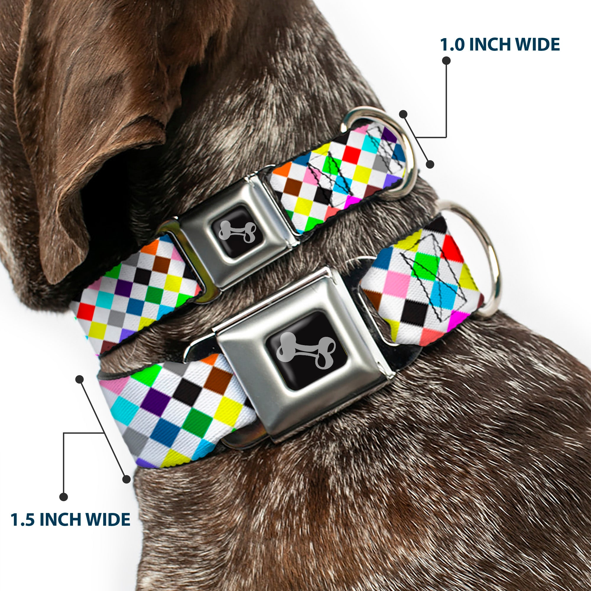 Dog Bone Seatbelt Buckle Collar - Diamonds White/Multi Color Seatbelt Buckle Collars Buckle-Down