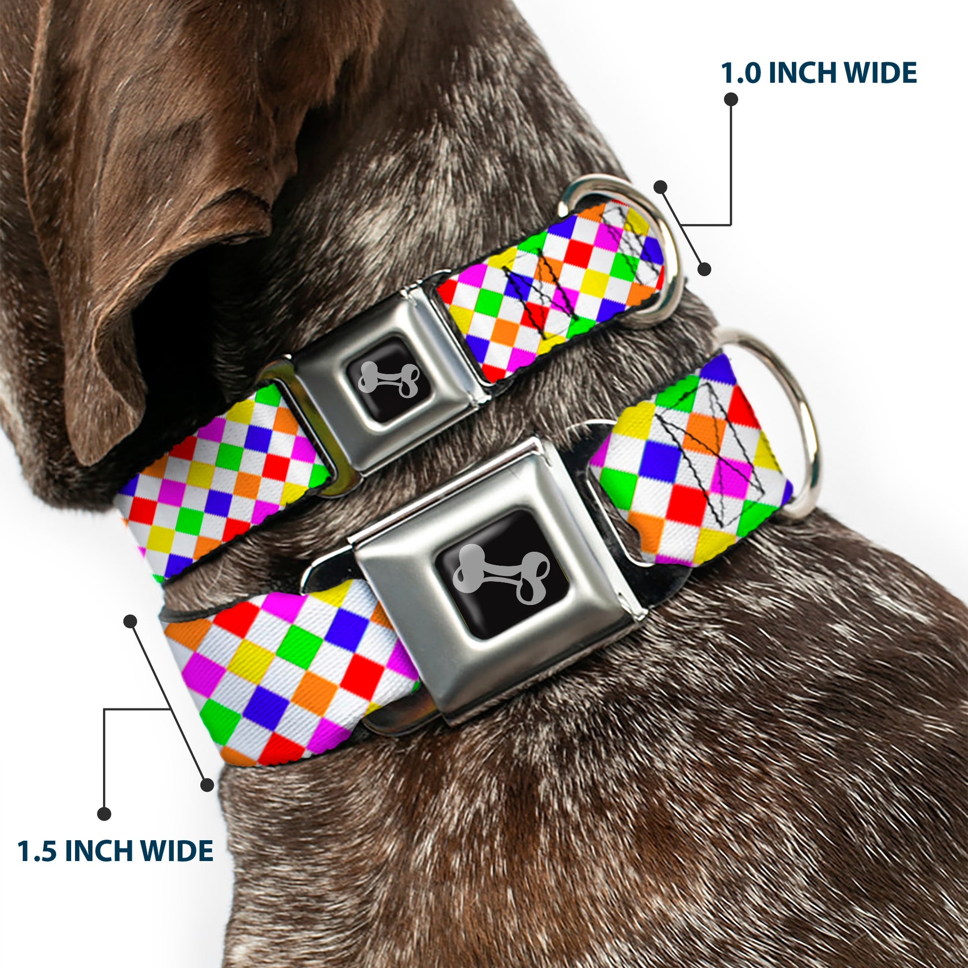Dog Bone Seatbelt Buckle Collar - Diamonds White/Multi Neon Seatbelt Buckle Collars Buckle-Down