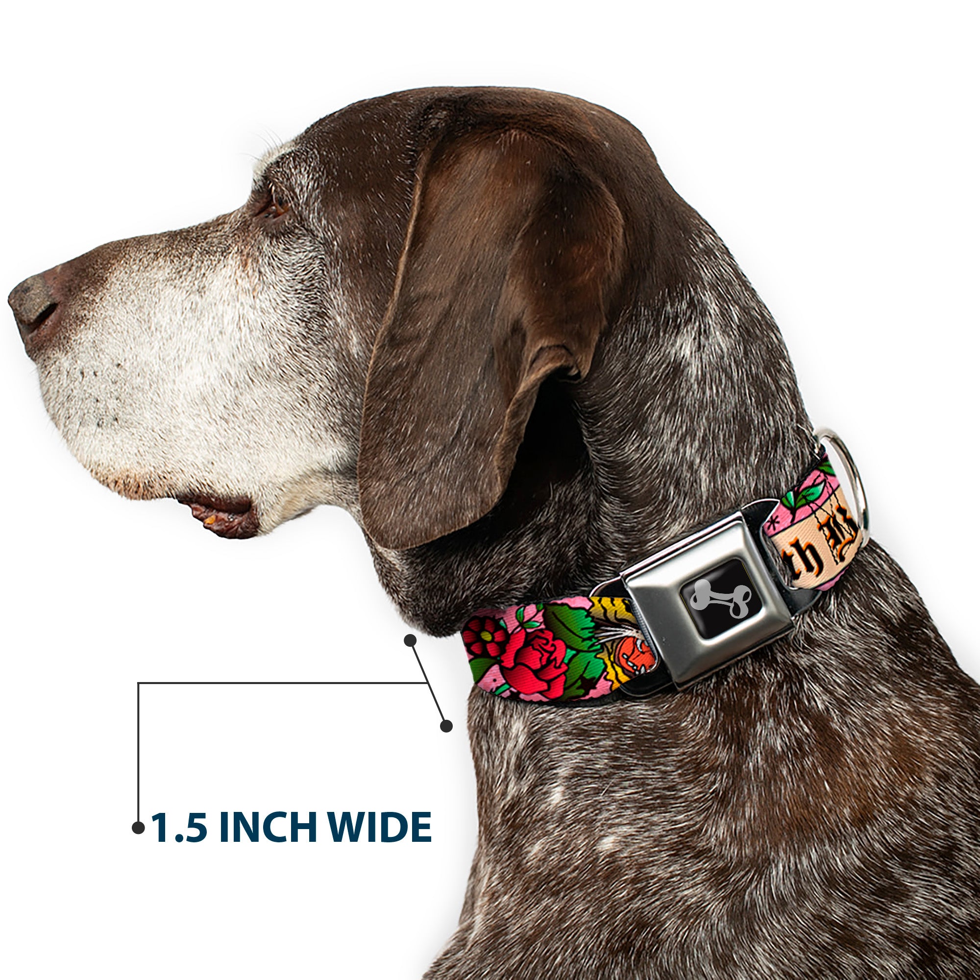 Dog Bone Seatbelt Buckle Collar - Death Before Dishonor Pink Seatbelt Buckle Collars Buckle-Down