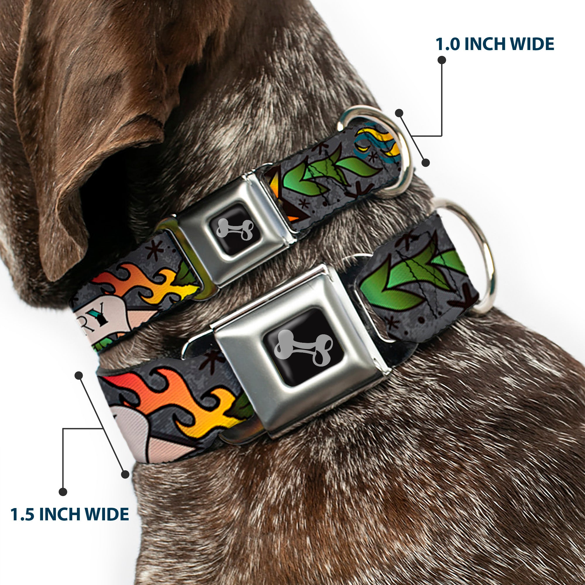 Dog Bone Seatbelt Buckle Collar - Death or Glory Gray Seatbelt Buckle Collars Buckle-Down