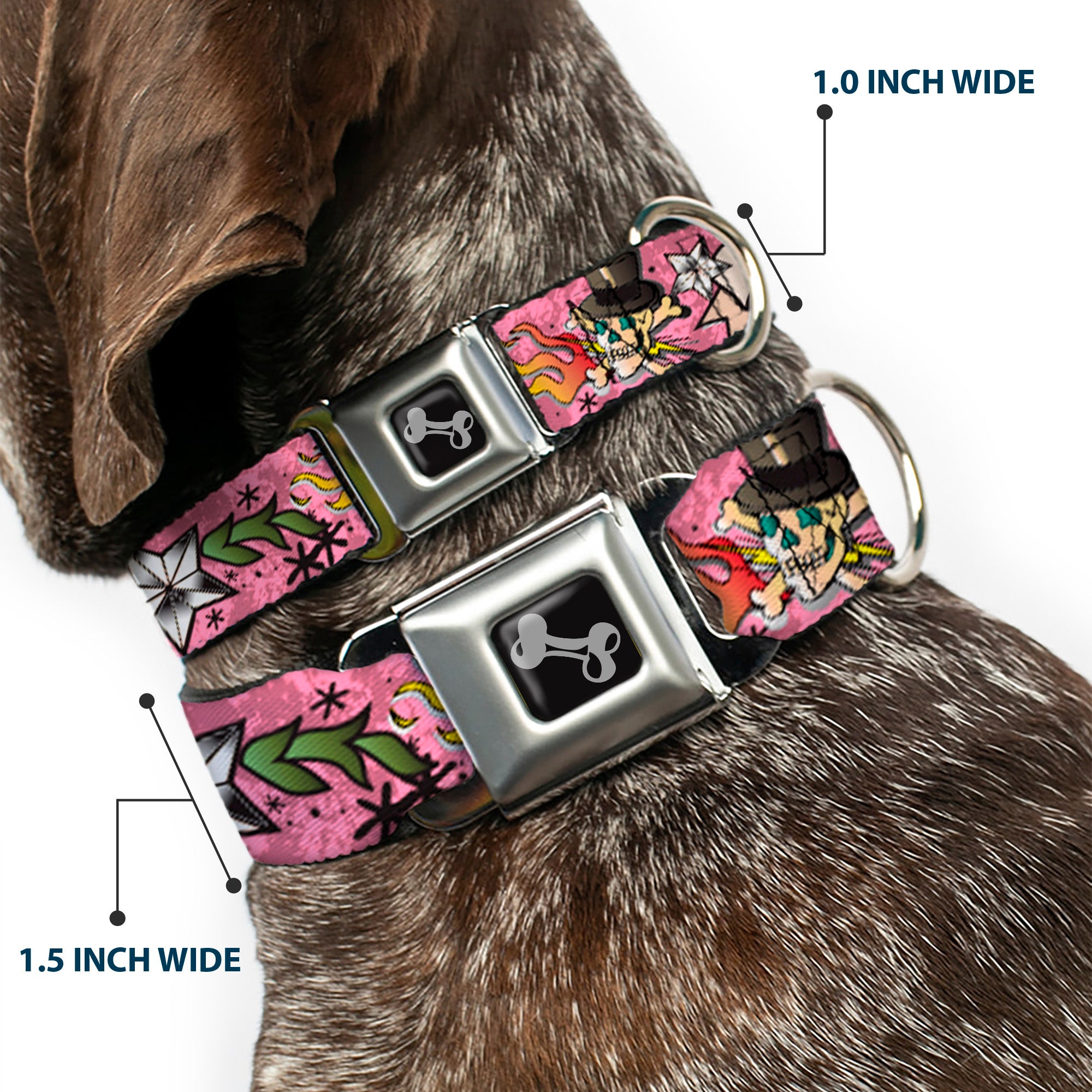 Dog Bone Seatbelt Buckle Collar - Death or Glory Pink Seatbelt Buckle Collars Buckle-Down