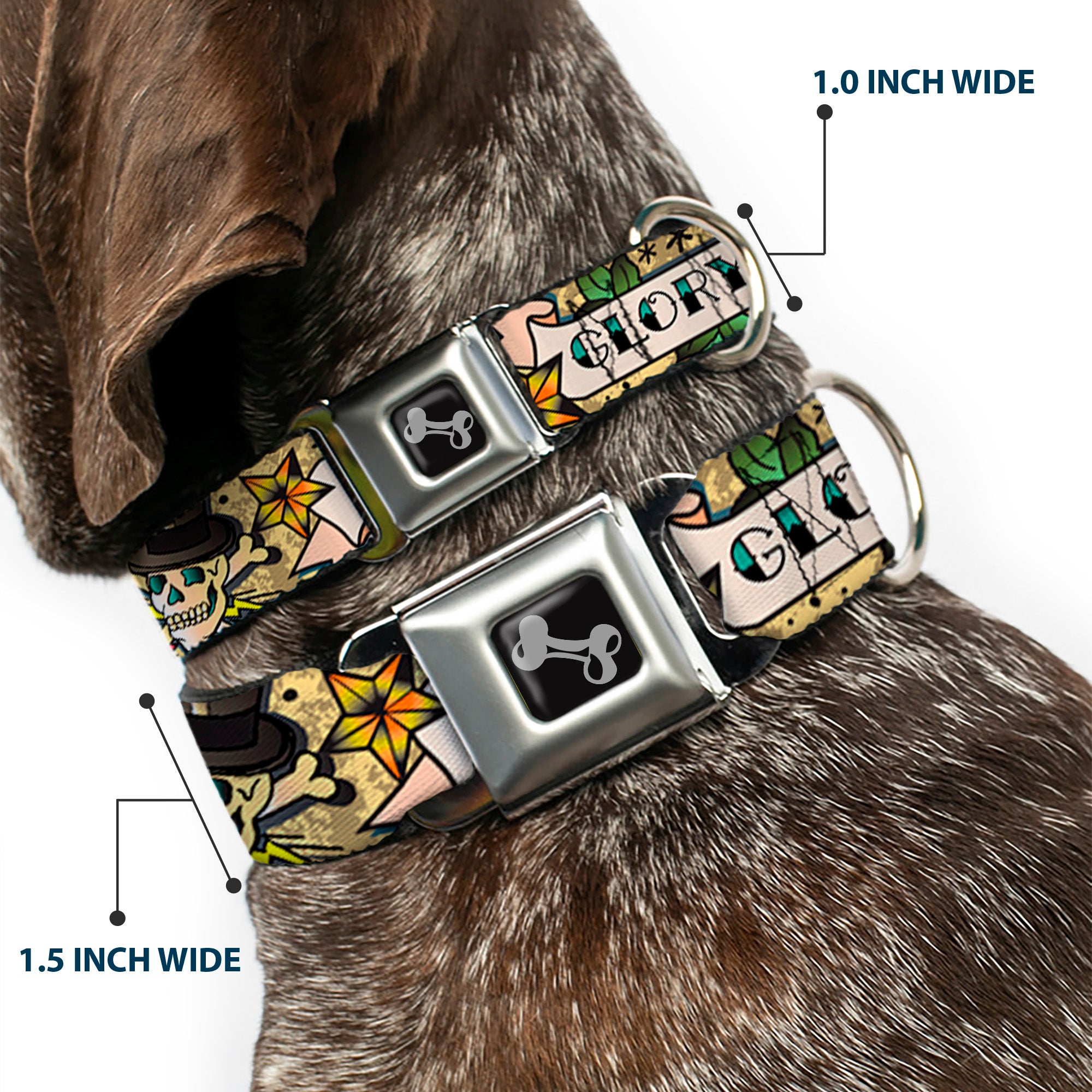 Dog Bone Seatbelt Buckle Collar - Death or Glory Tan Seatbelt Buckle Collars Buckle-Down