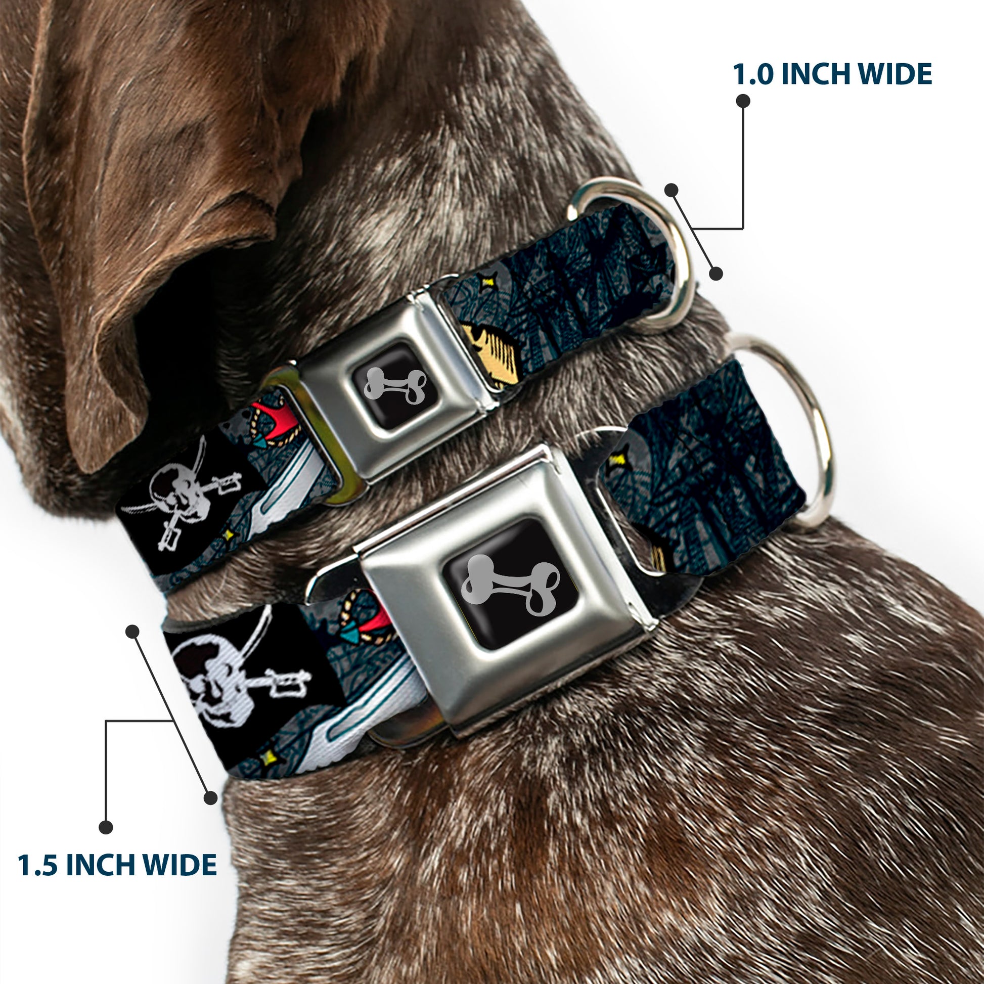 Dog Bone Seatbelt Buckle Collar - Dead Men Tell No Tales Gray Seatbelt Buckle Collars Buckle-Down