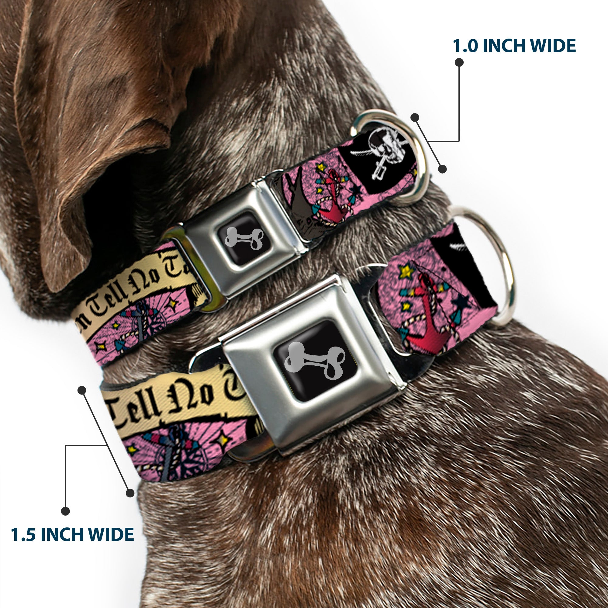 Dog Bone Seatbelt Buckle Collar - Dead Men Tell No Tales Pink Seatbelt Buckle Collars Buckle-Down
