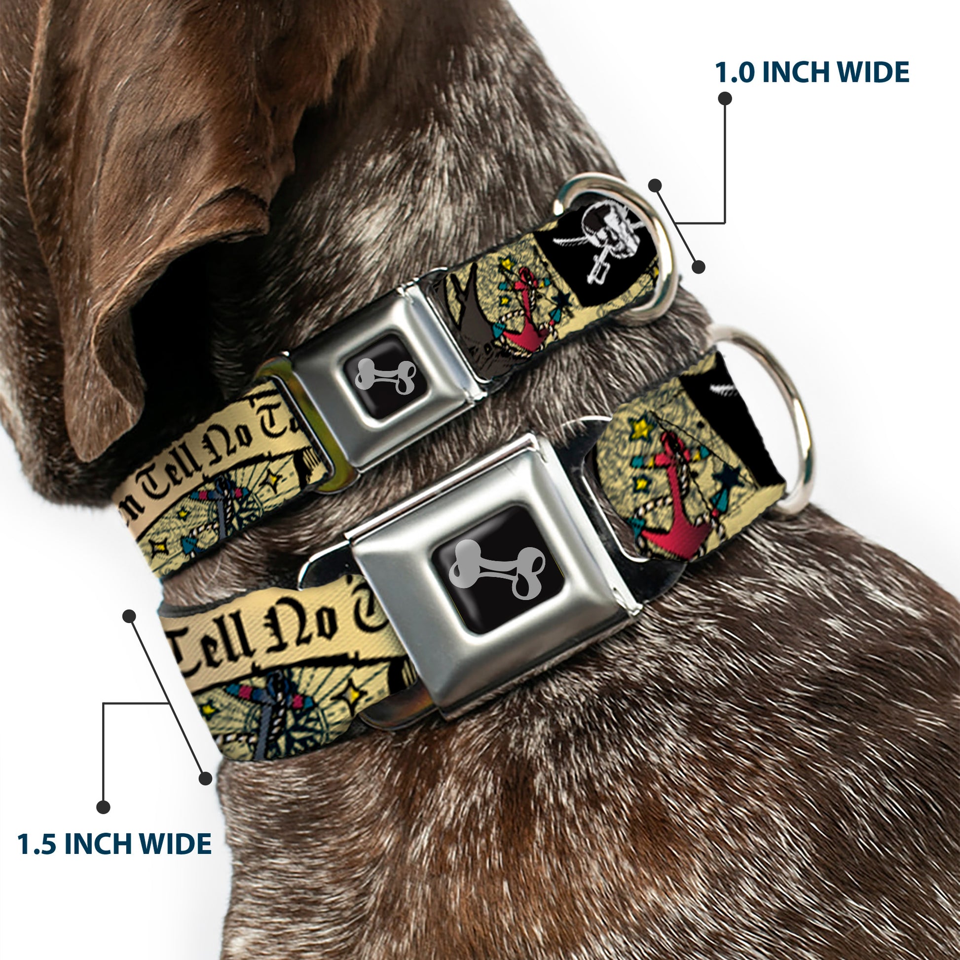 Dog Bone Seatbelt Buckle Collar - Dead Men Tell No Tales Tan Seatbelt Buckle Collars Buckle-Down