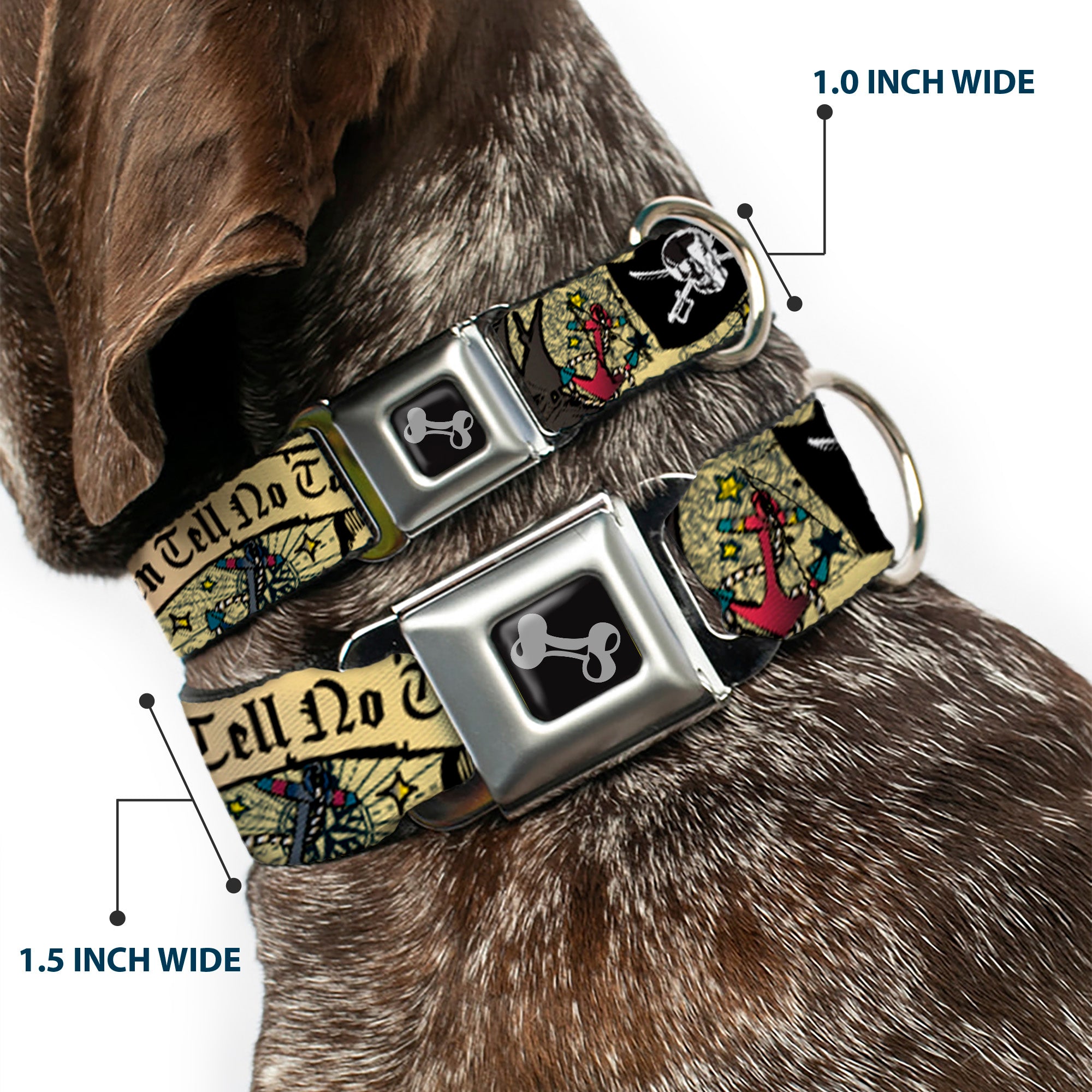 Dog Bone Seatbelt Buckle Collar - Dead Men Tell No Tales Tan Seatbelt Buckle Collars Buckle-Down