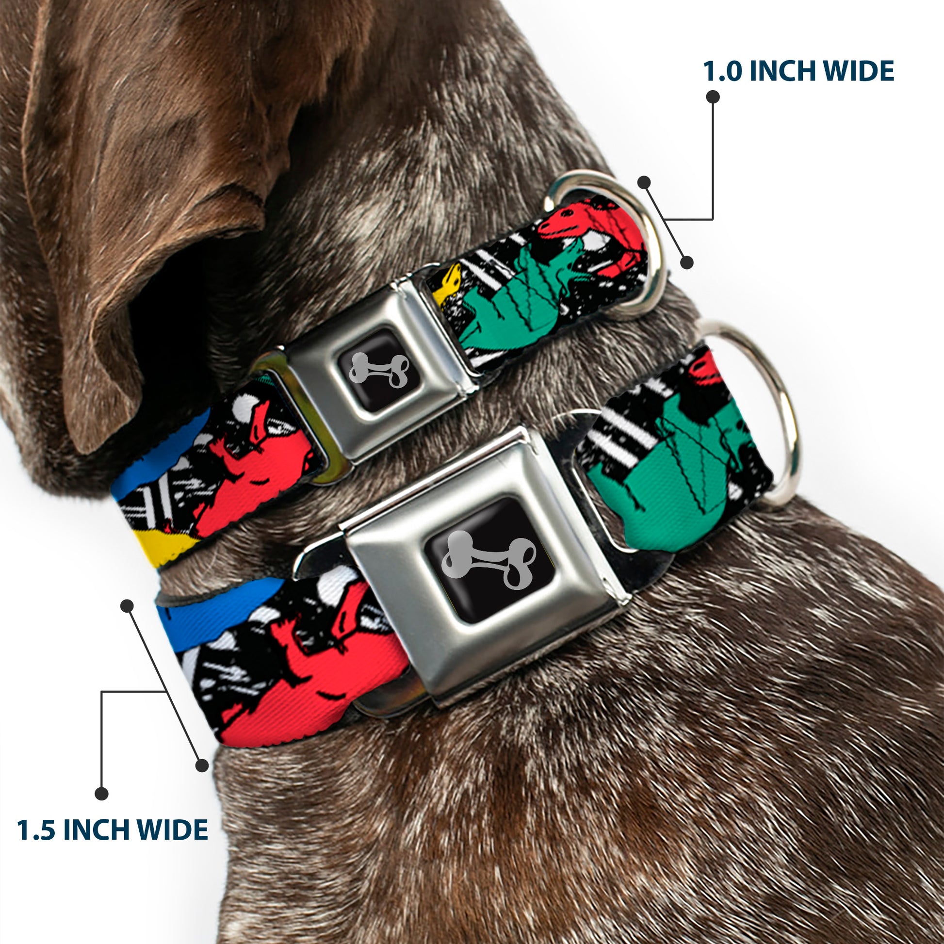 Dog Bone Seatbelt Buckle Collar - Dinosaurs/Paint Splatter Black/White/Multi Color Seatbelt Buckle Collars Buckle-Down