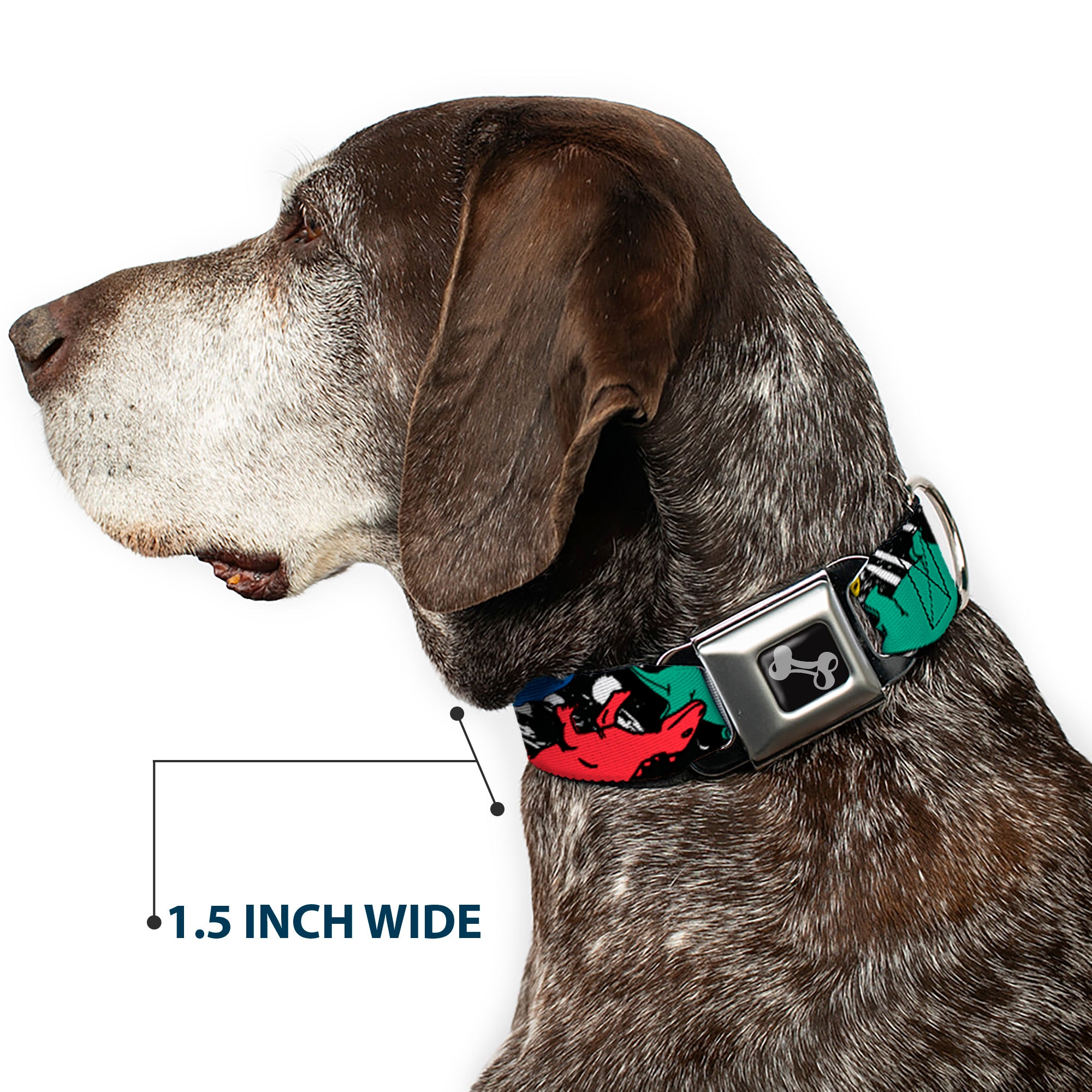 Dog Bone Seatbelt Buckle Collar - Dinosaurs/Paint Splatter Black/White/Multi Color Seatbelt Buckle Collars Buckle-Down