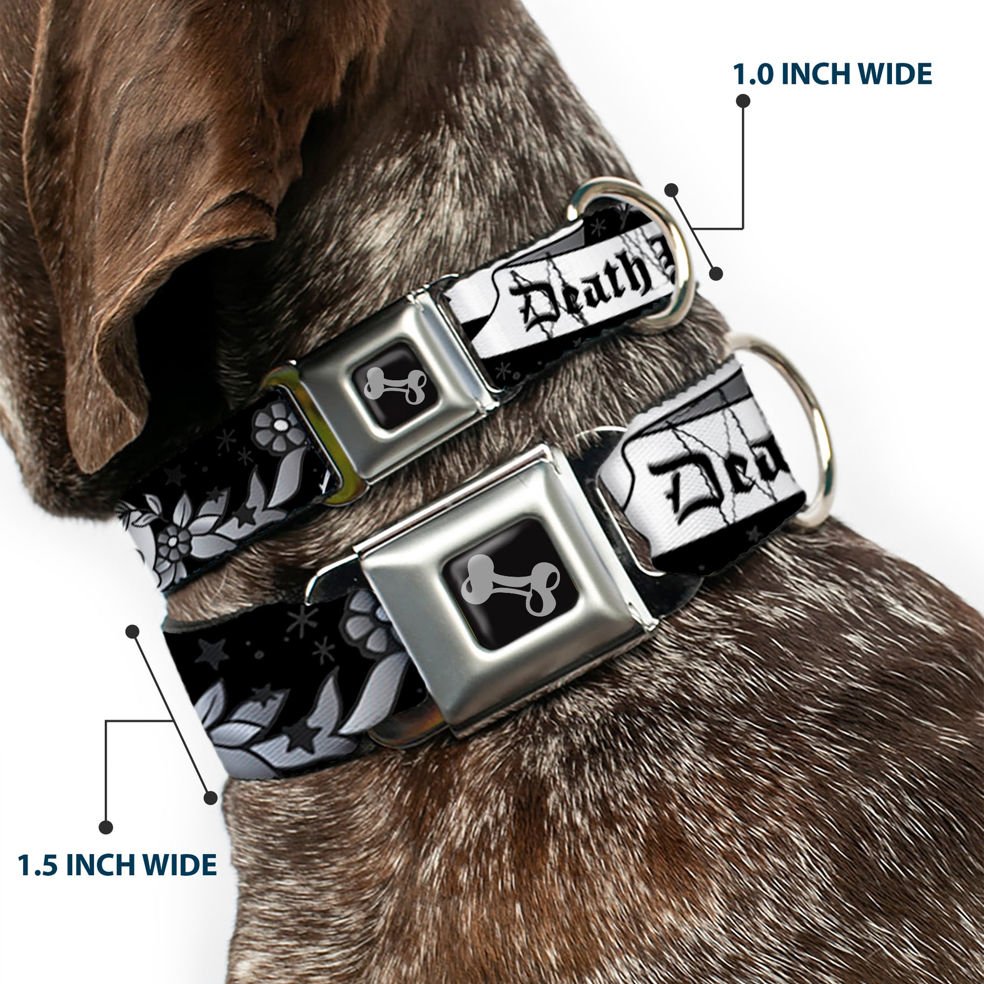 Dog Bone Seatbelt Buckle Collar - Death Before Dishonor Black/White Seatbelt Buckle Collars Buckle-Down