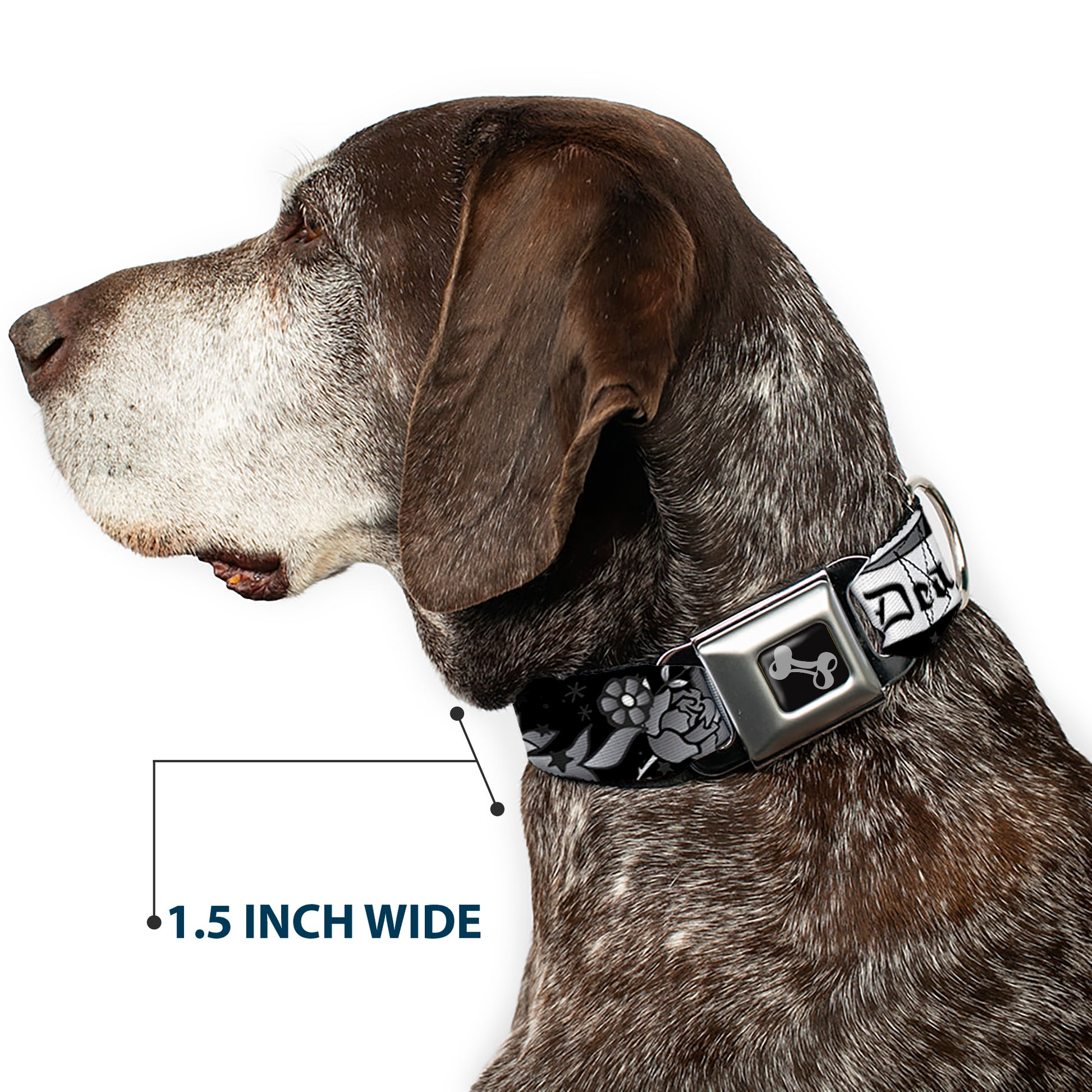 Dog Bone Seatbelt Buckle Collar - Death Before Dishonor Black/White Seatbelt Buckle Collars Buckle-Down