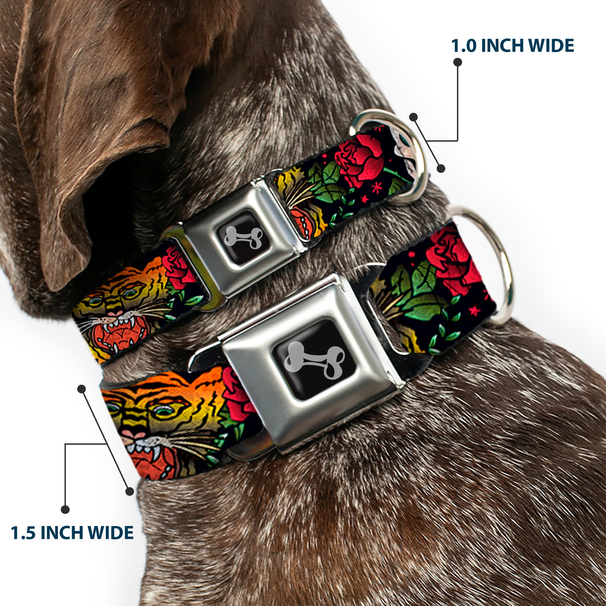 Dog Bone Seatbelt Buckle Collar - Death Before Dishonor CLOSE-UP Black Seatbelt Buckle Collars Buckle-Down