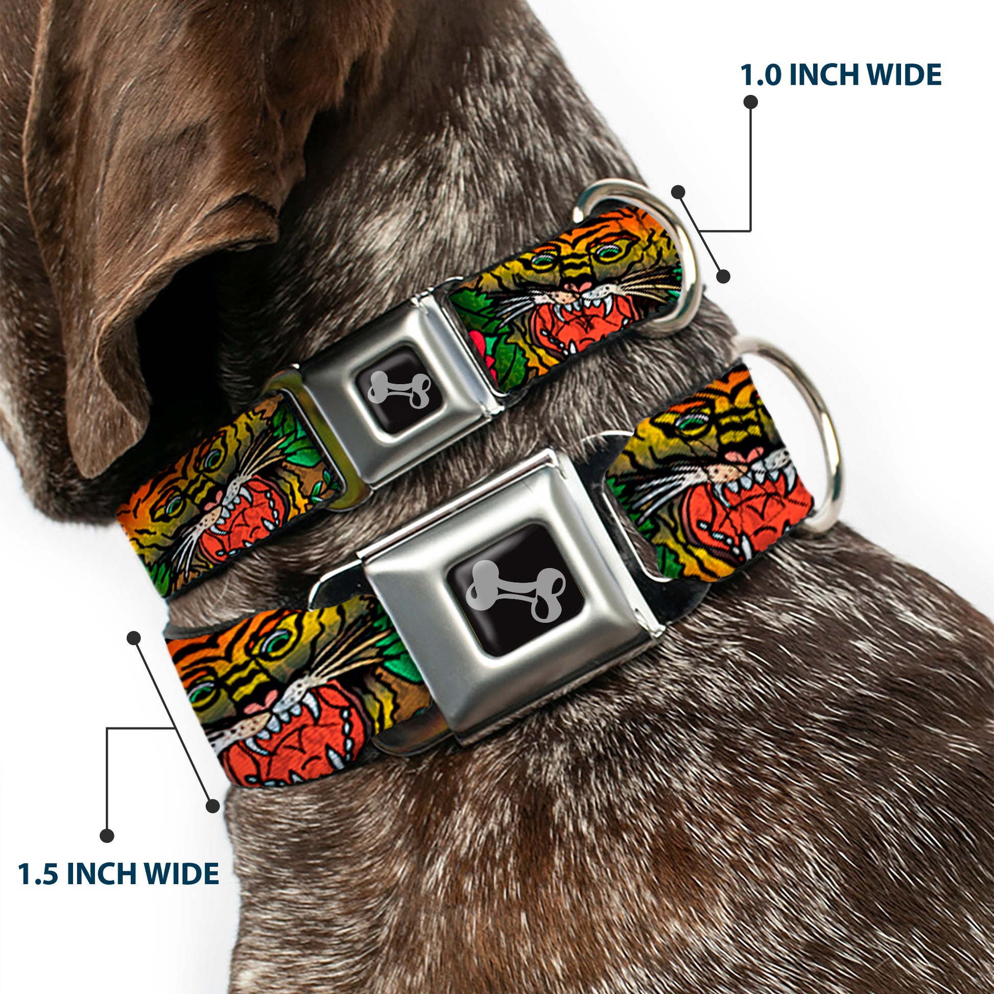 Dog Bone Seatbelt Buckle Collar - Death Before Dishonor CLOSE-UP Olive Seatbelt Buckle Collars Buckle-Down