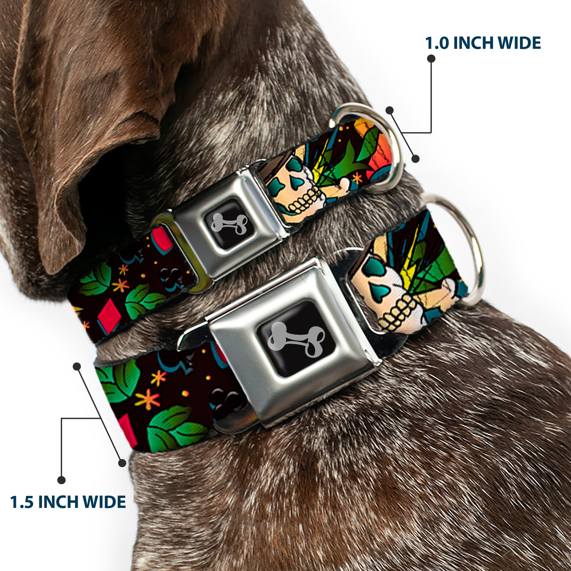 Dog Bone Seatbelt Buckle Collar - Death or Glory CLOSE-UP Black Seatbelt Buckle Collars Buckle-Down