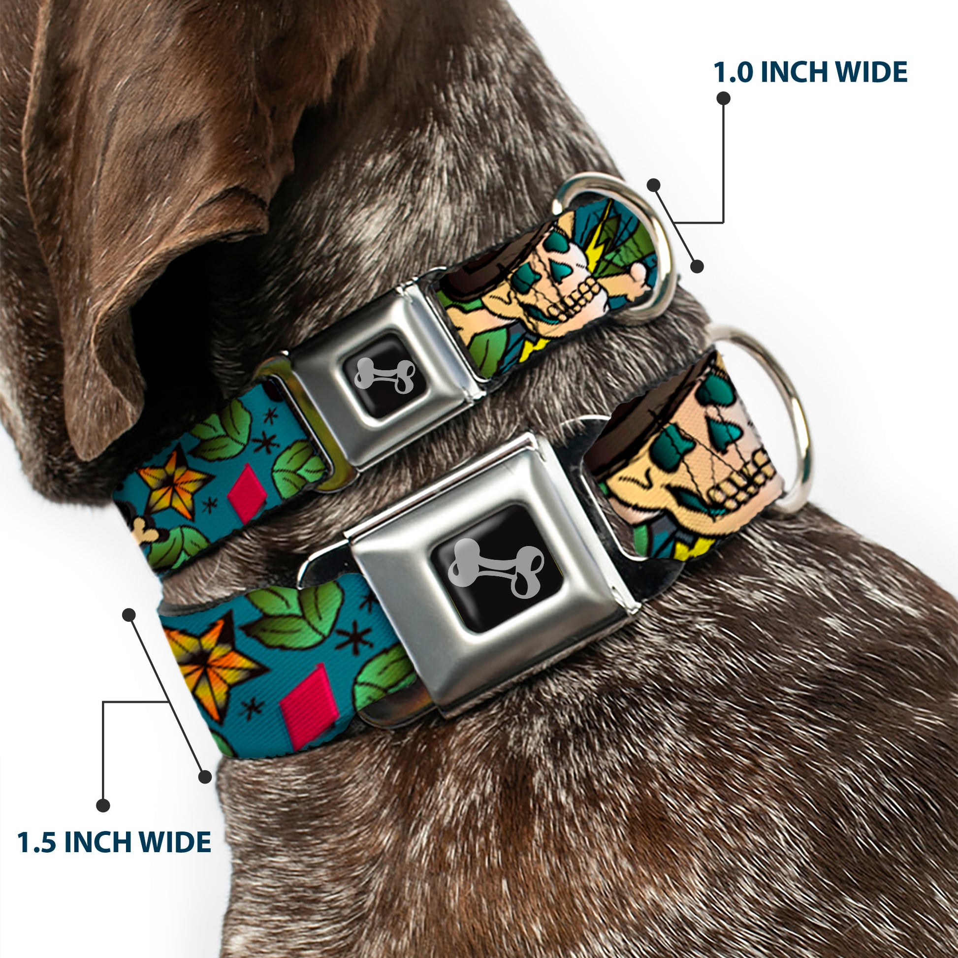 Dog Bone Seatbelt Buckle Collar - Death or Glory CLOSE-UP Gray Seatbelt Buckle Collars Buckle-Down