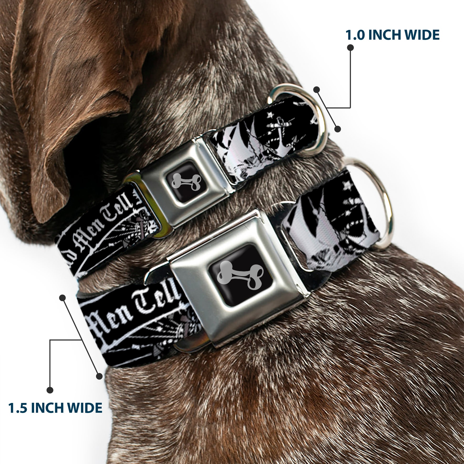 Dog Bone Seatbelt Buckle Collar - Dead Men Tell No Tales Black/White Seatbelt Buckle Collars Buckle-Down