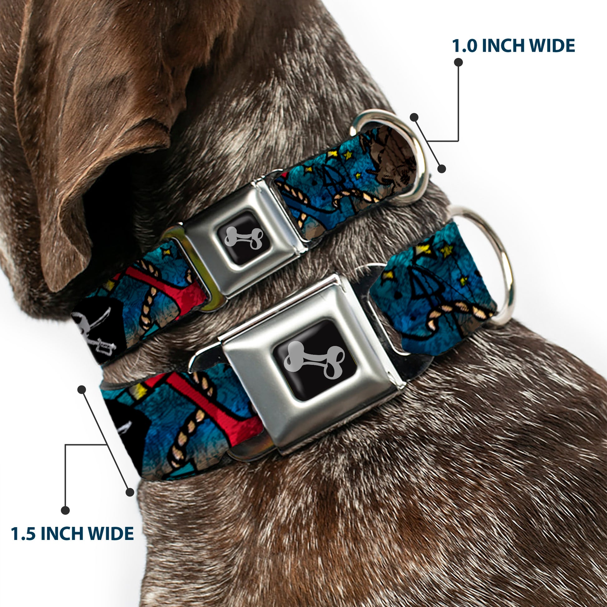 Dog Bone Seatbelt Buckle Collar - Dead Men Tell No Tales CLOSE-UP Turquoise Seatbelt Buckle Collars Buckle-Down