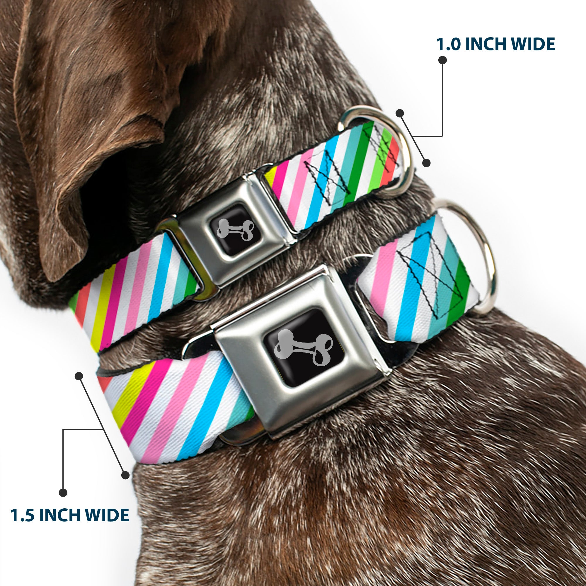 Dog Bone Seatbelt Buckle Collar - Diagonal Stripes White/Multi Color Seatbelt Buckle Collars Buckle-Down