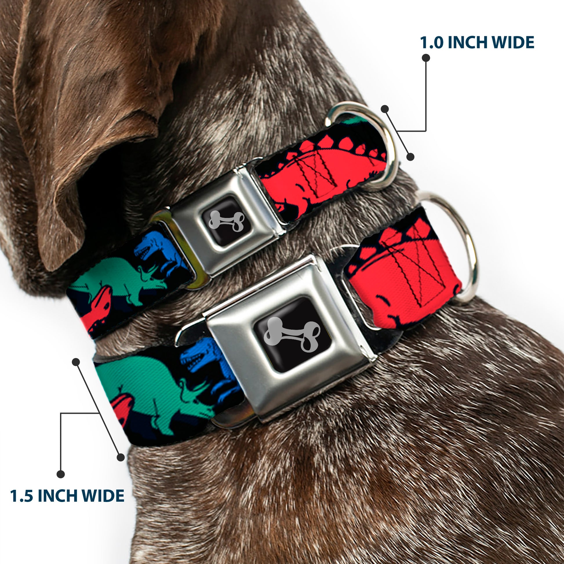 Dog Bone Seatbelt Buckle Collar - Dinosaurs Black/Multi Color Seatbelt Buckle Collars Buckle-Down
