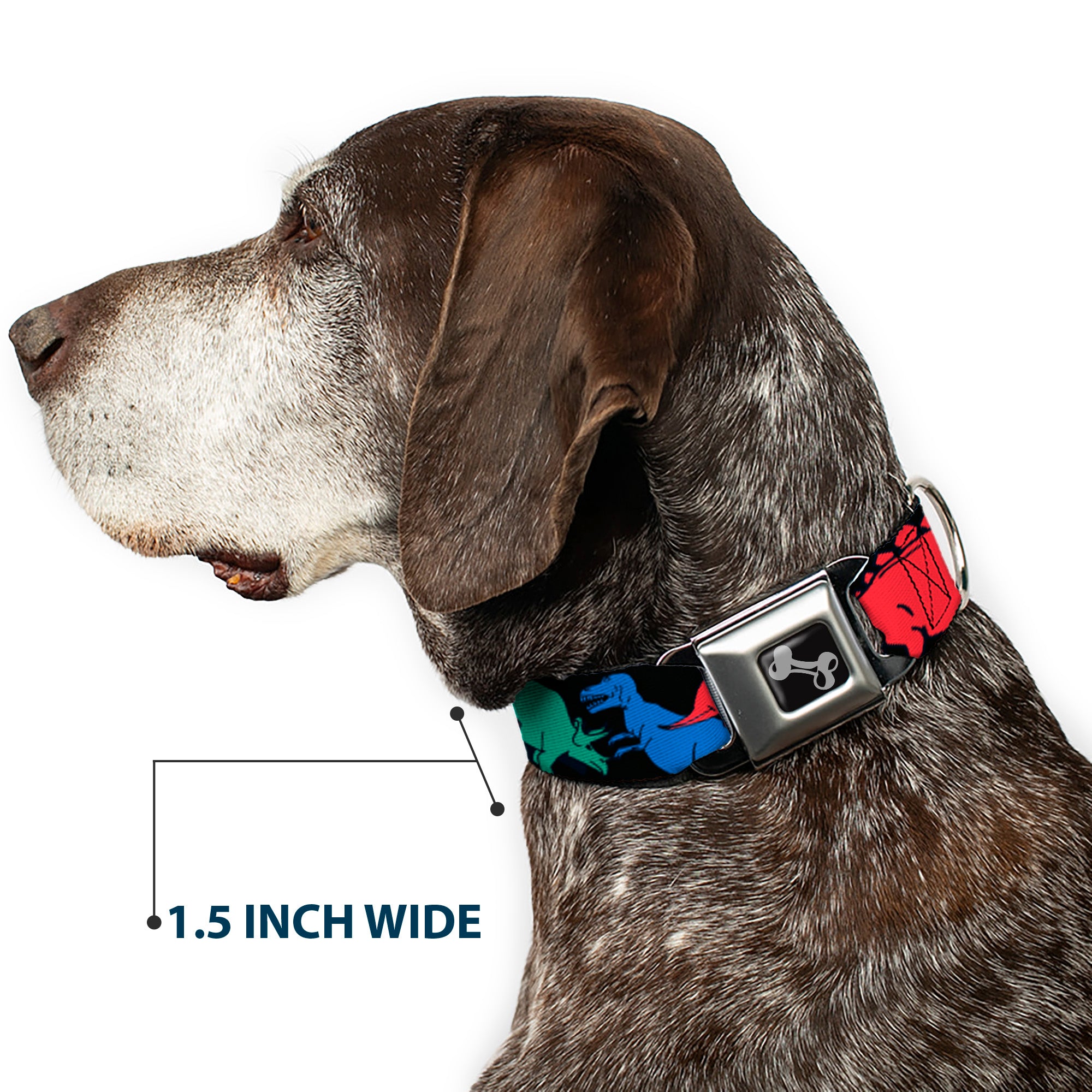 Dog Bone Seatbelt Buckle Collar - Dinosaurs Black/Multi Color Seatbelt Buckle Collars Buckle-Down