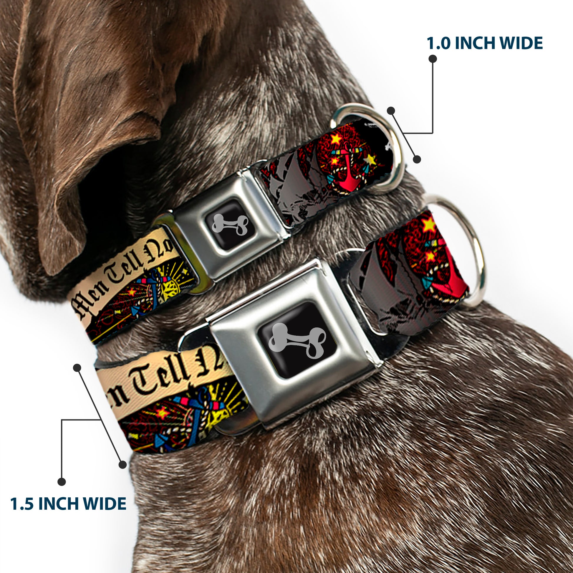Dog Bone Seatbelt Buckle Collar - Dead Men Tell No Tales Black Seatbelt Buckle Collars Buckle-Down