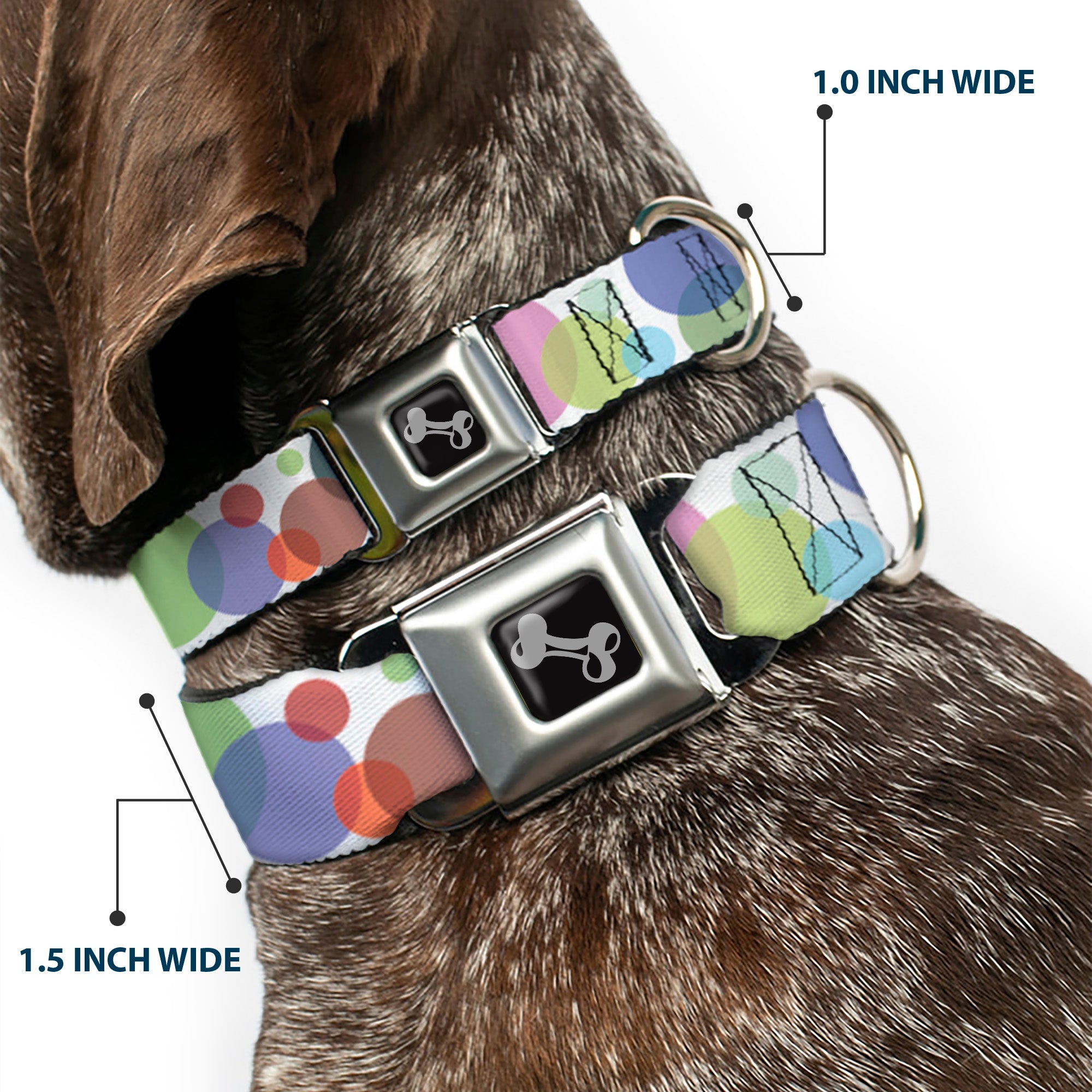 Dog Bone Seatbelt Buckle Collar - Dots White/Transparent Multi Color Seatbelt Buckle Collars Buckle-Down