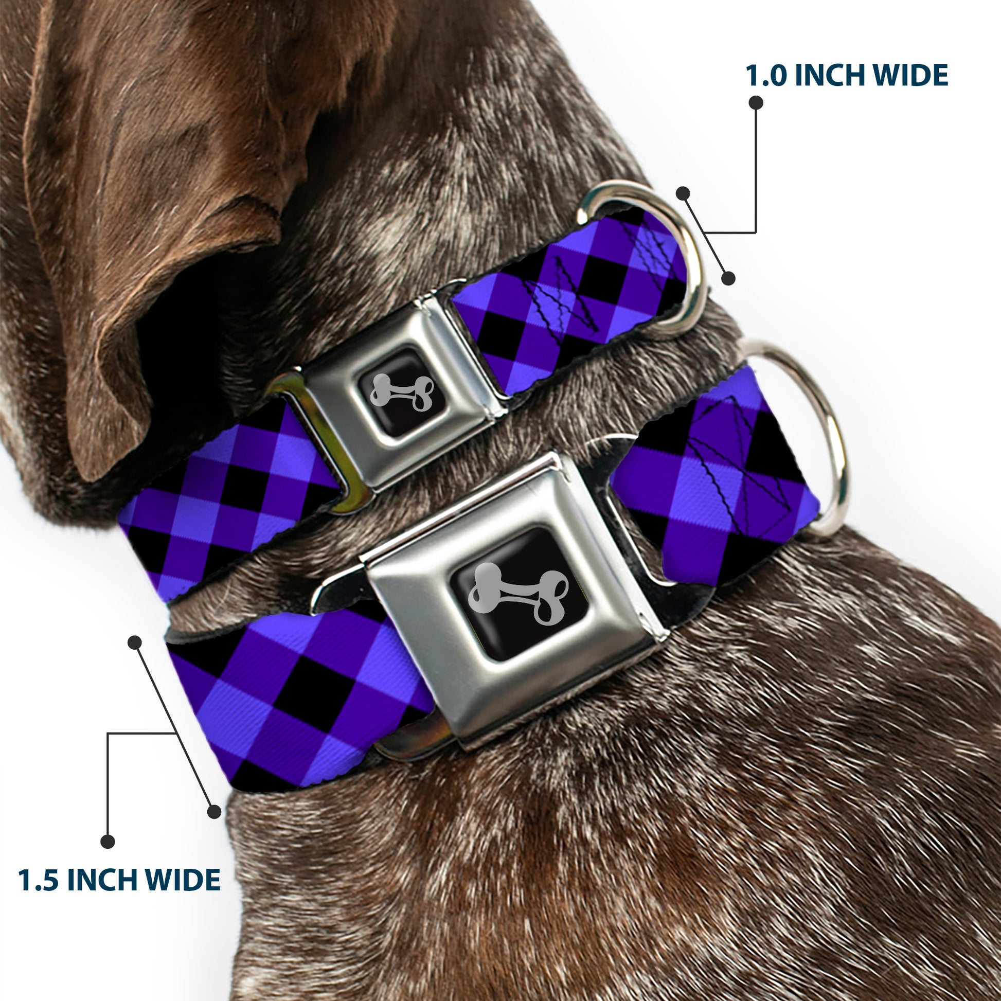 Dog Bone Seatbelt Buckle Collar - Diagonal Buffalo Plaid Black/Blue Seatbelt Buckle Collars Buckle-Down