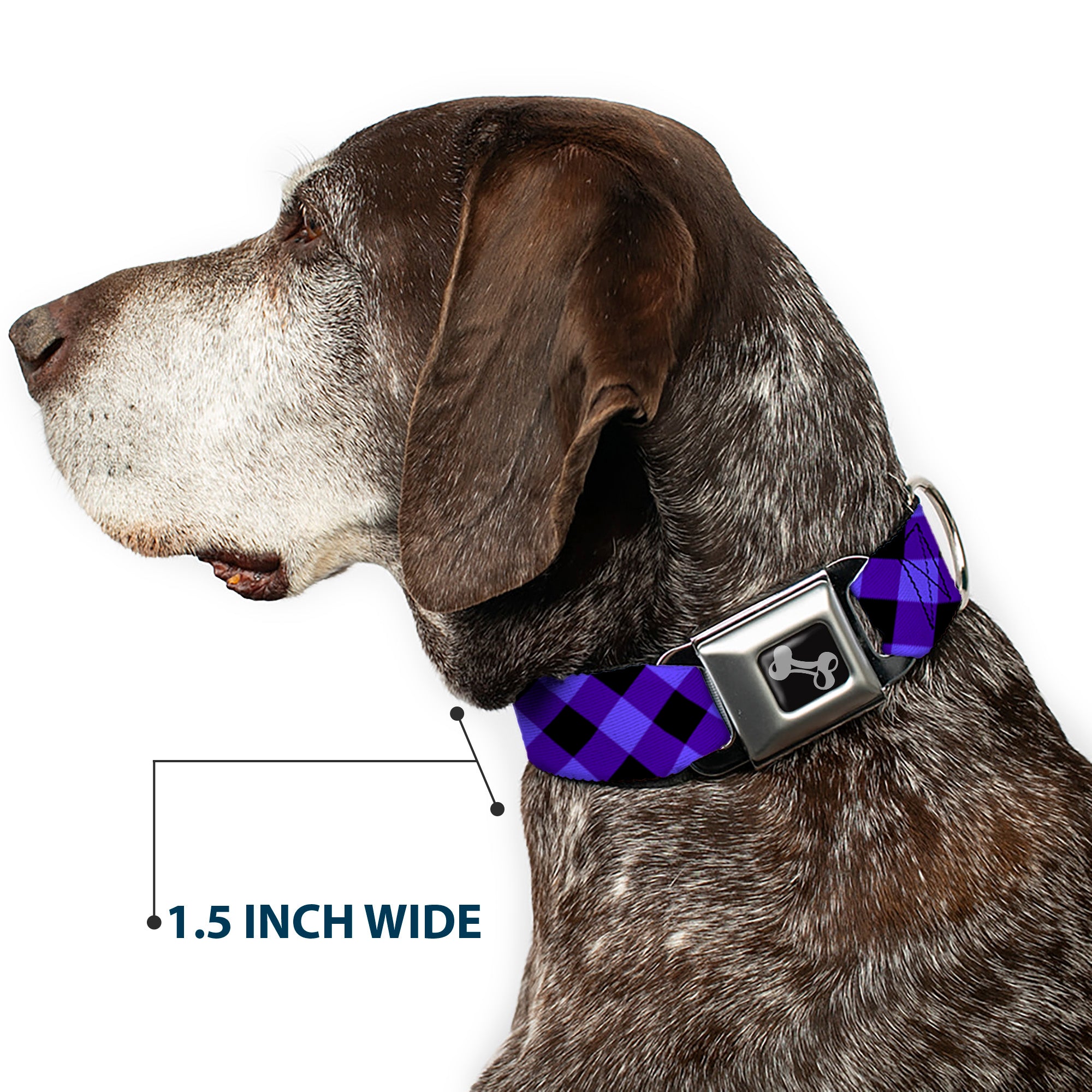 Dog Bone Seatbelt Buckle Collar - Diagonal Buffalo Plaid Black/Blue Seatbelt Buckle Collars Buckle-Down