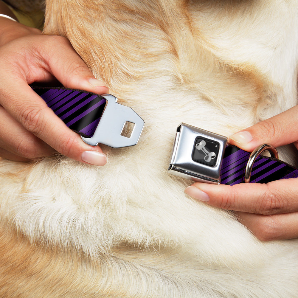 Dog Bone Seatbelt Buckle Collar - Diagonal Stripes Black/Purple Seatbelt Buckle Collars Buckle-Down