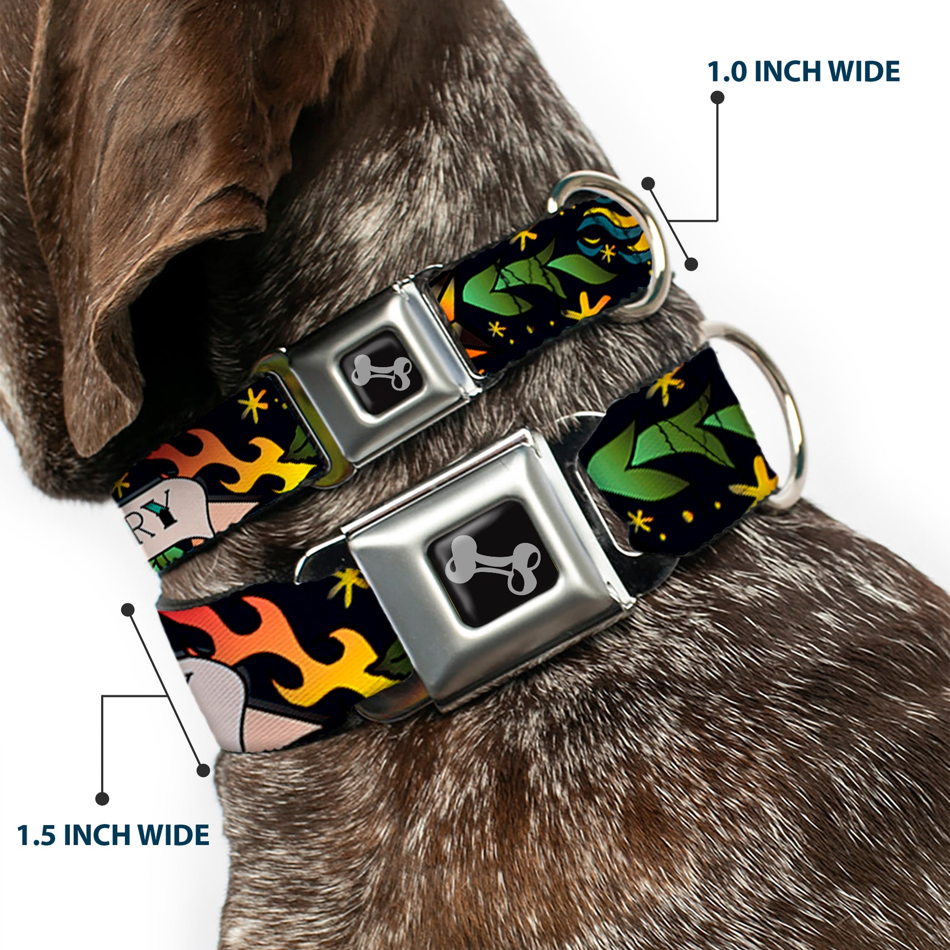 Dog Bone Seatbelt Buckle Collar - Death or Glory Black Seatbelt Buckle Collars Buckle-Down