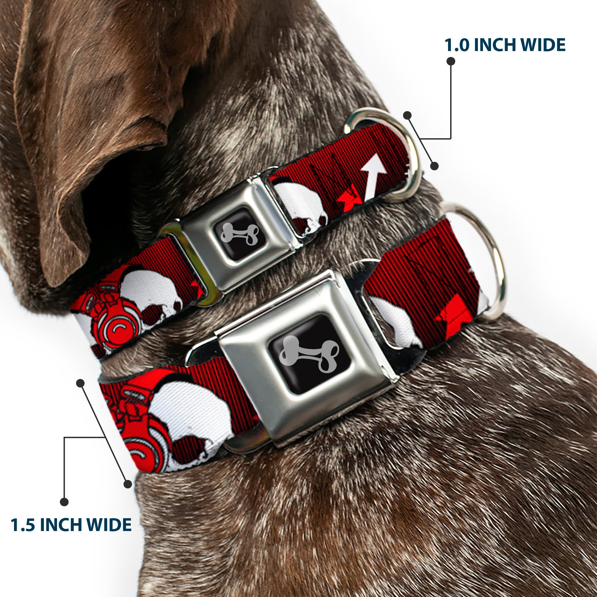 Dog Bone Seatbelt Buckle Collar - DJ Skulls Up/Down Black/Red Seatbelt Buckle Collars Buckle-Down