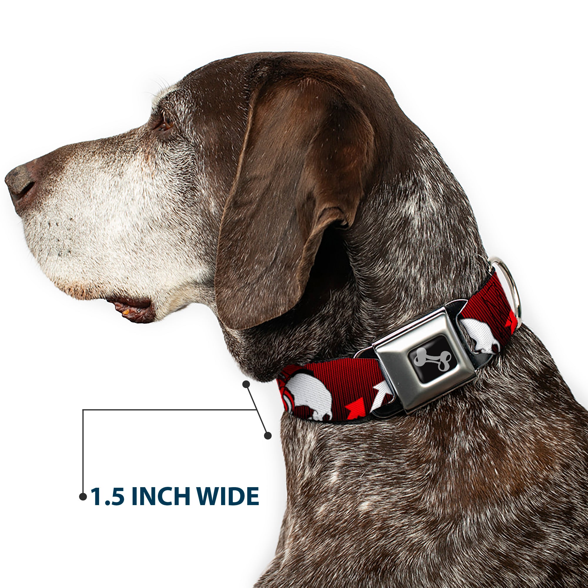 Dog Bone Seatbelt Buckle Collar - DJ Skulls Up/Down Black/Red Seatbelt Buckle Collars Buckle-Down