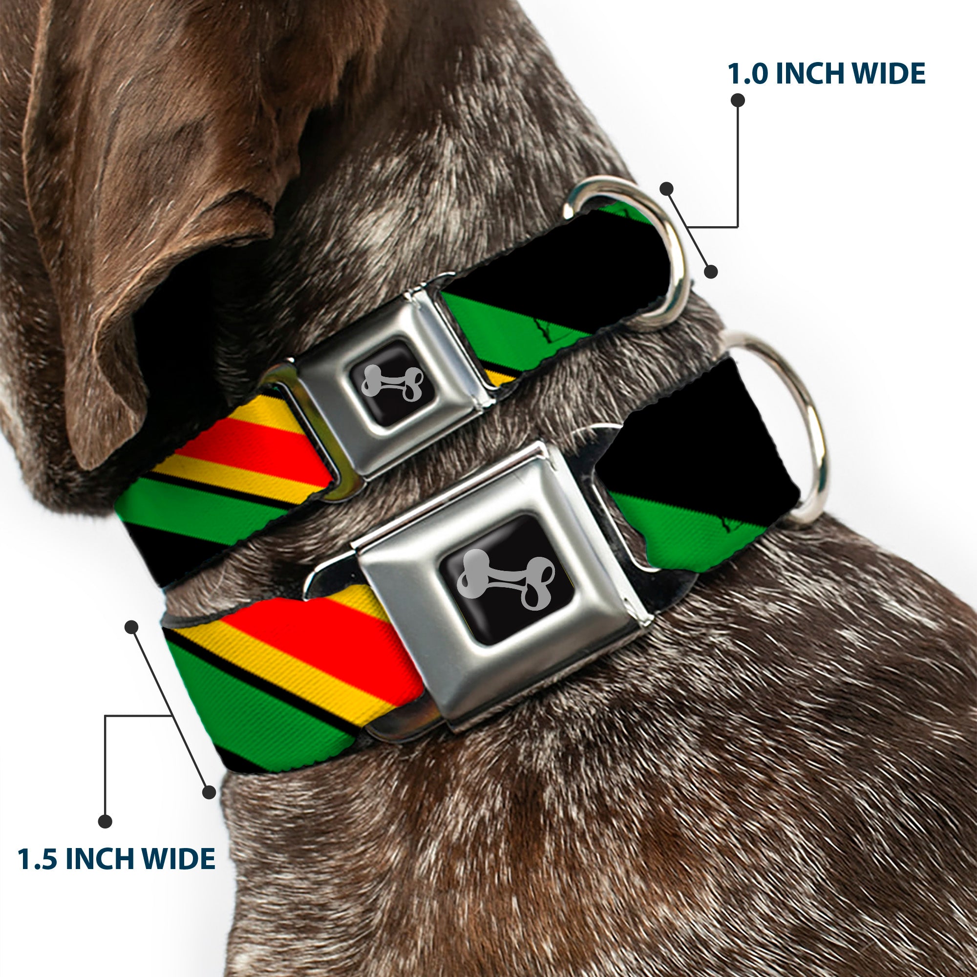 Dog Bone Seatbelt Buckle Collar - Diagonal Stripes Black/Green/Yellow/Red Seatbelt Buckle Collars Buckle-Down