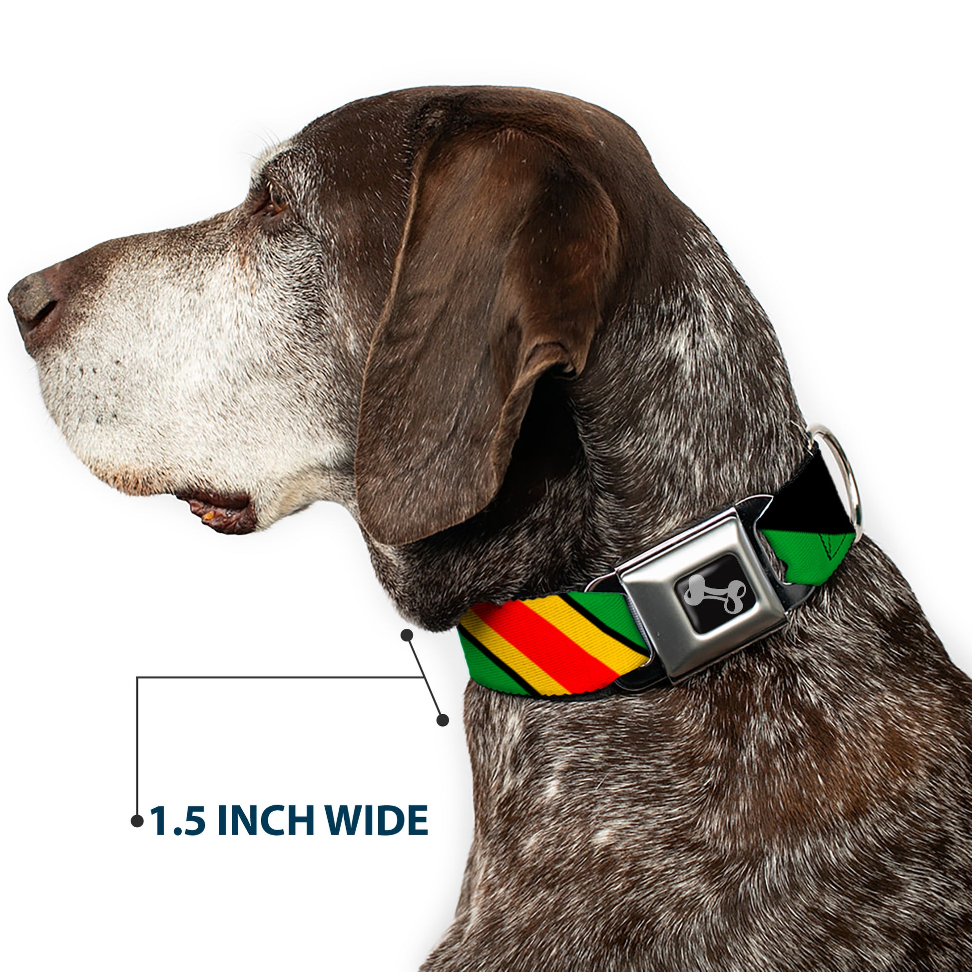 Dog Bone Seatbelt Buckle Collar - Diagonal Stripes Black/Green/Yellow/Red Seatbelt Buckle Collars Buckle-Down
