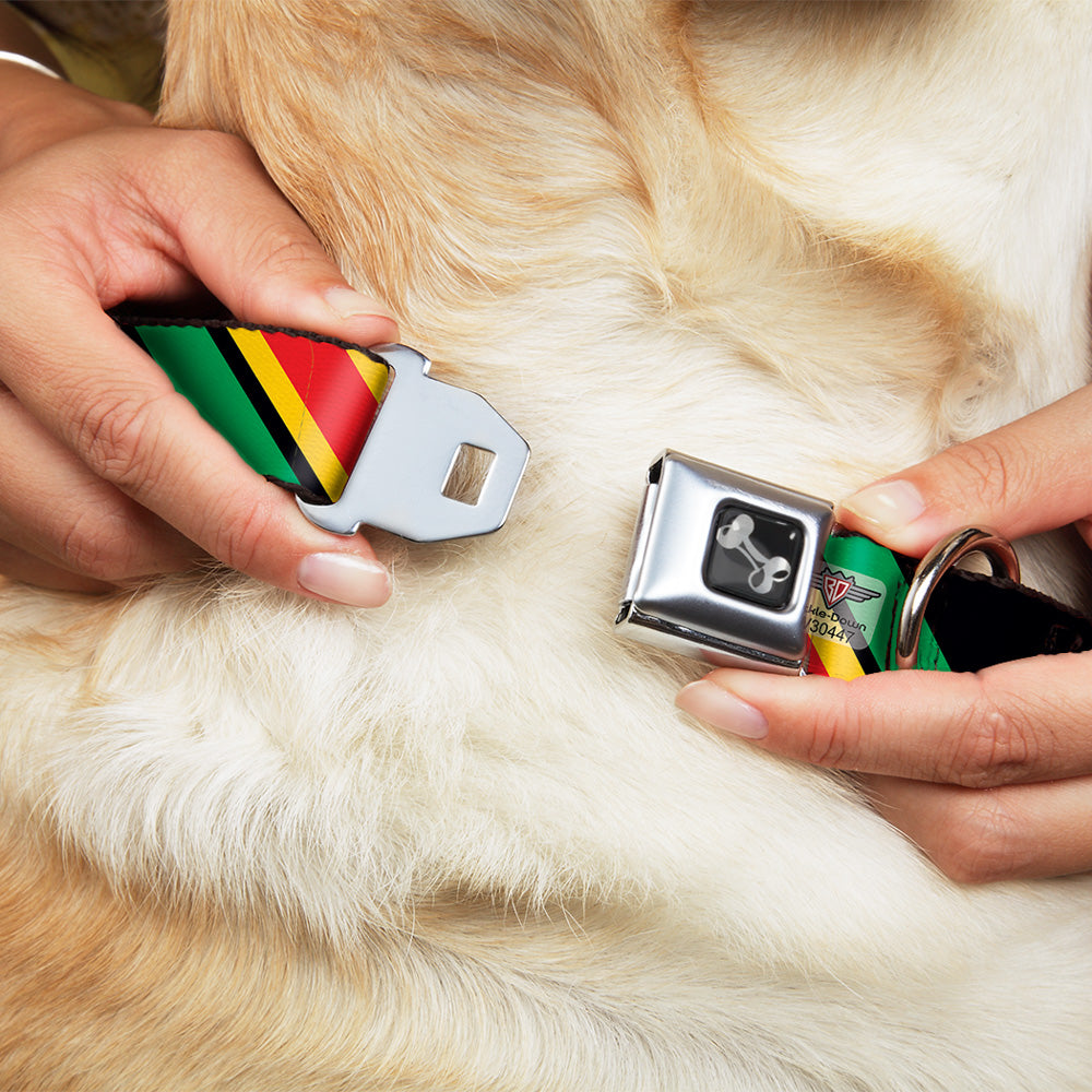 Dog Bone Seatbelt Buckle Collar - Diagonal Stripes Black/Green/Yellow/Red Seatbelt Buckle Collars Buckle-Down