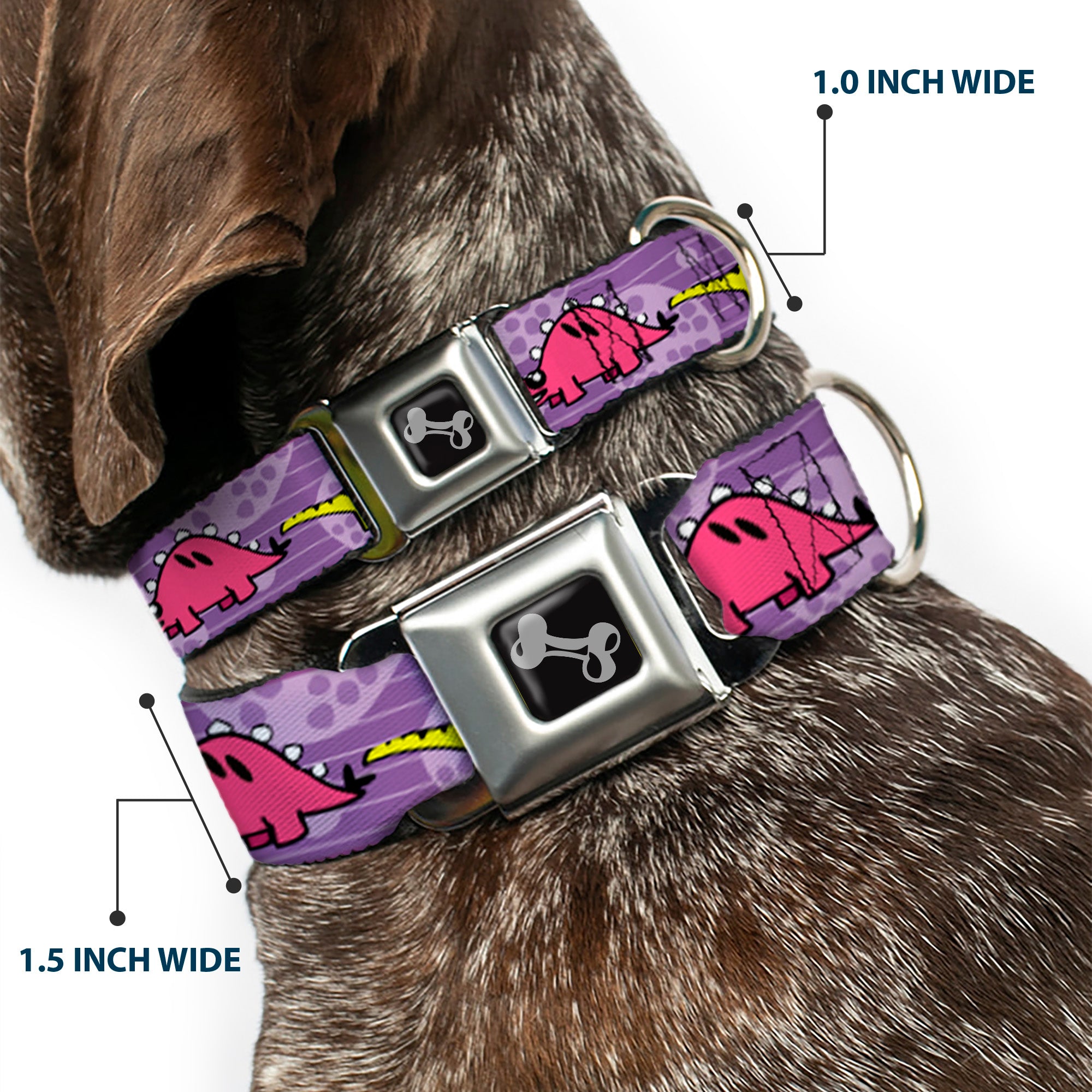 Dog Bone Seatbelt Buckle Collar - Dinosaur Cartoon Seatbelt Buckle Collars Buckle-Down