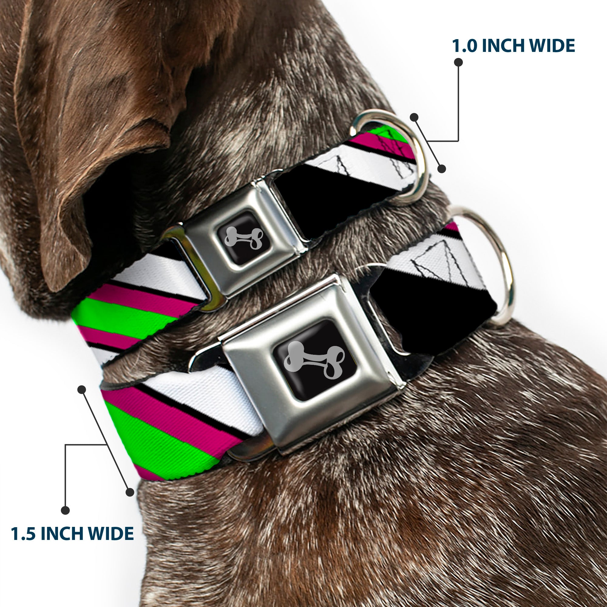 Dog Bone Seatbelt Buckle Collar - Diagonal Stripes Black/White/Pink/Green Seatbelt Buckle Collars Buckle-Down