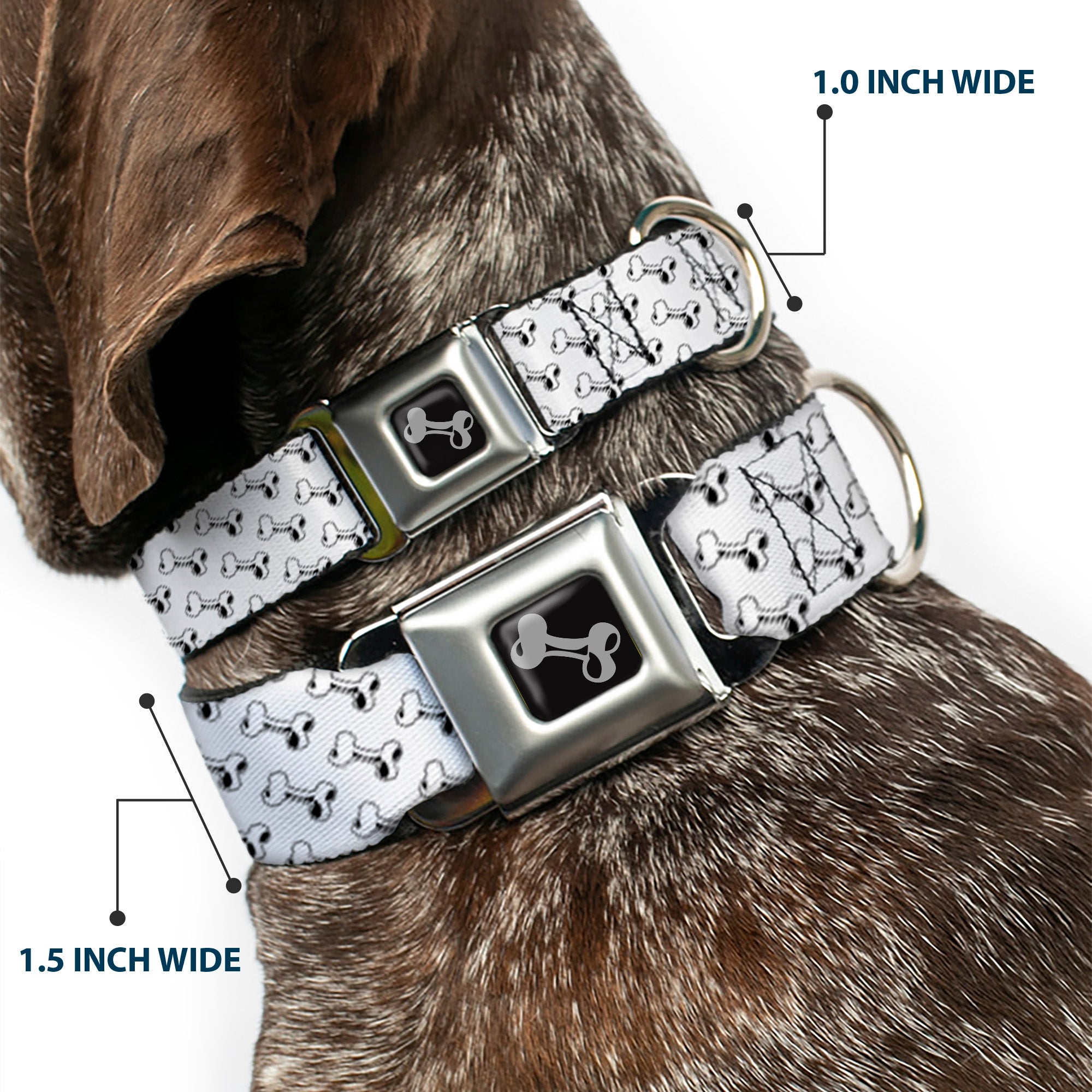 Dog Bone Seatbelt Buckle Collar - Dog Bone White/Black Seatbelt Buckle Collars Buckle-Down