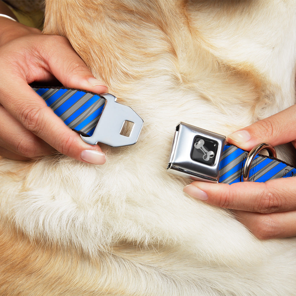 Dog Bone Seatbelt Buckle Collar - Diagonal Stripes Scribble Gray/Blue Seatbelt Buckle Collars Buckle-Down