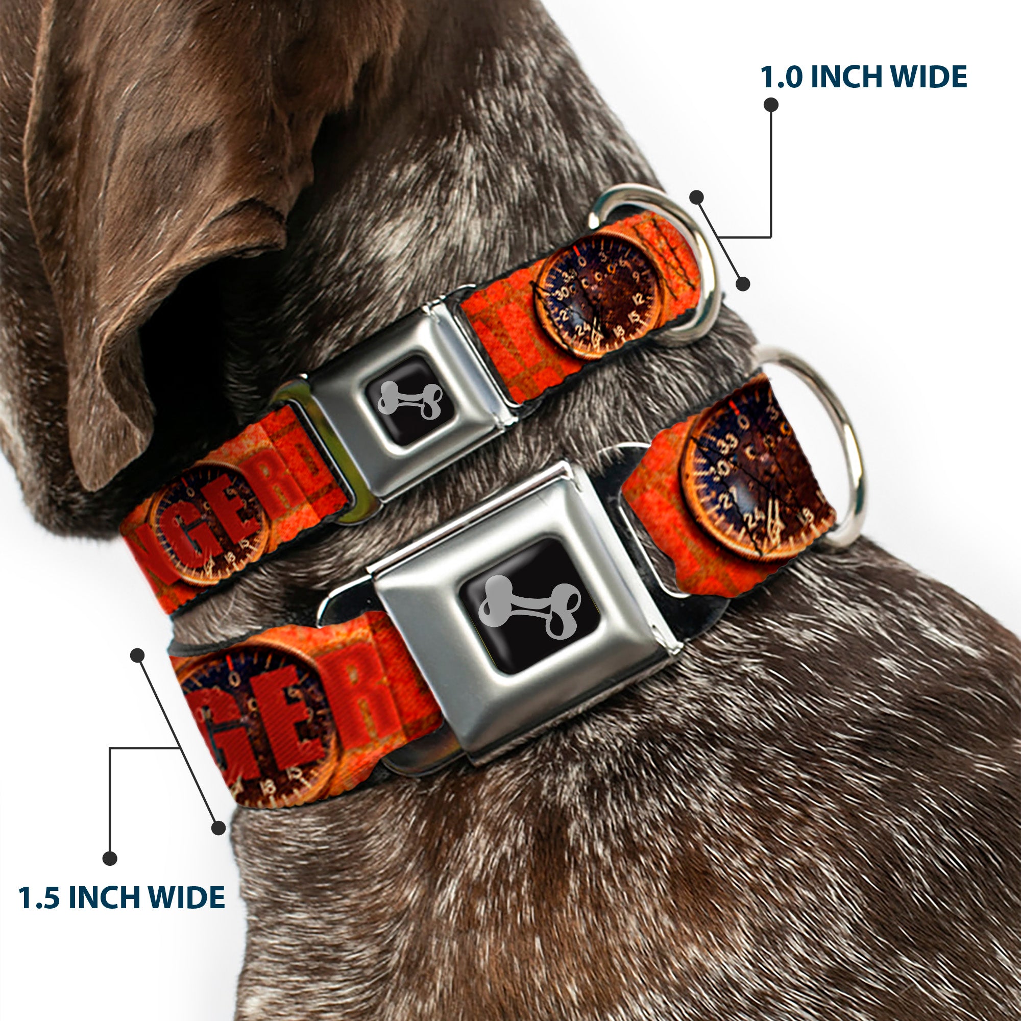 Dog Bone Seatbelt Buckle Collar - Danger Gauge Seatbelt Buckle Collars Buckle-Down